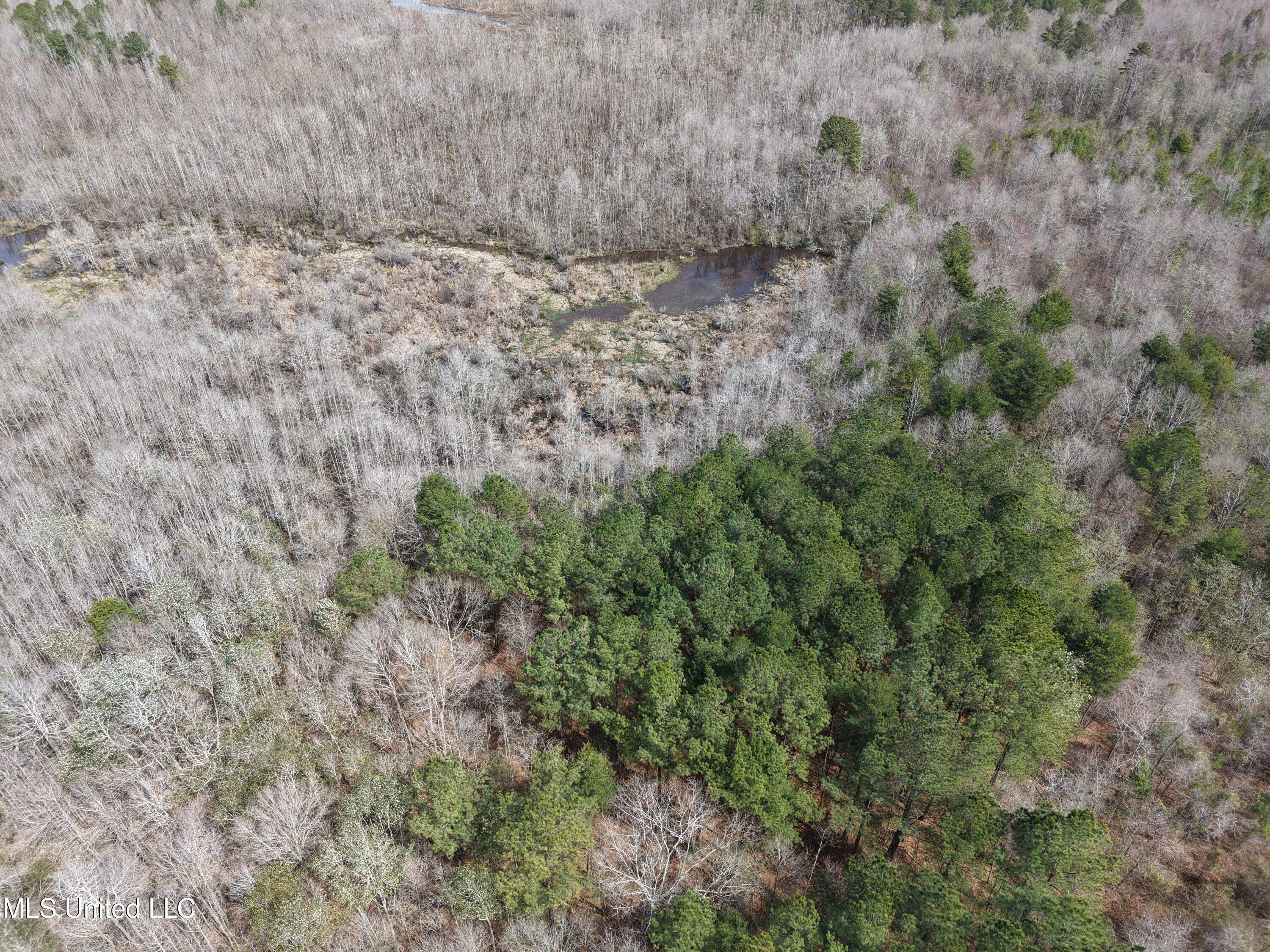 Clyde Evans Rd Property Photo 21