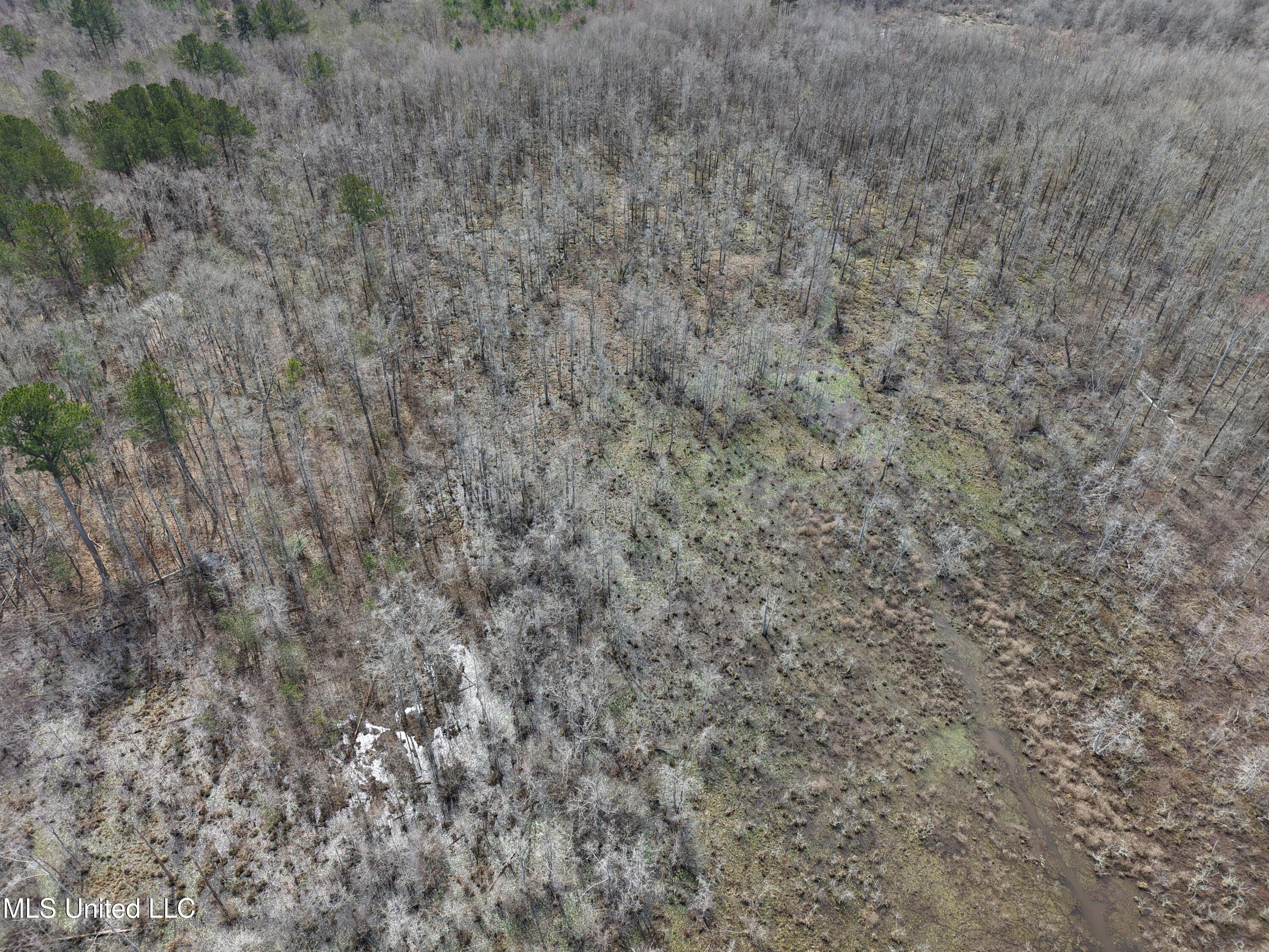 Clyde Evans Rd Property Photo 23