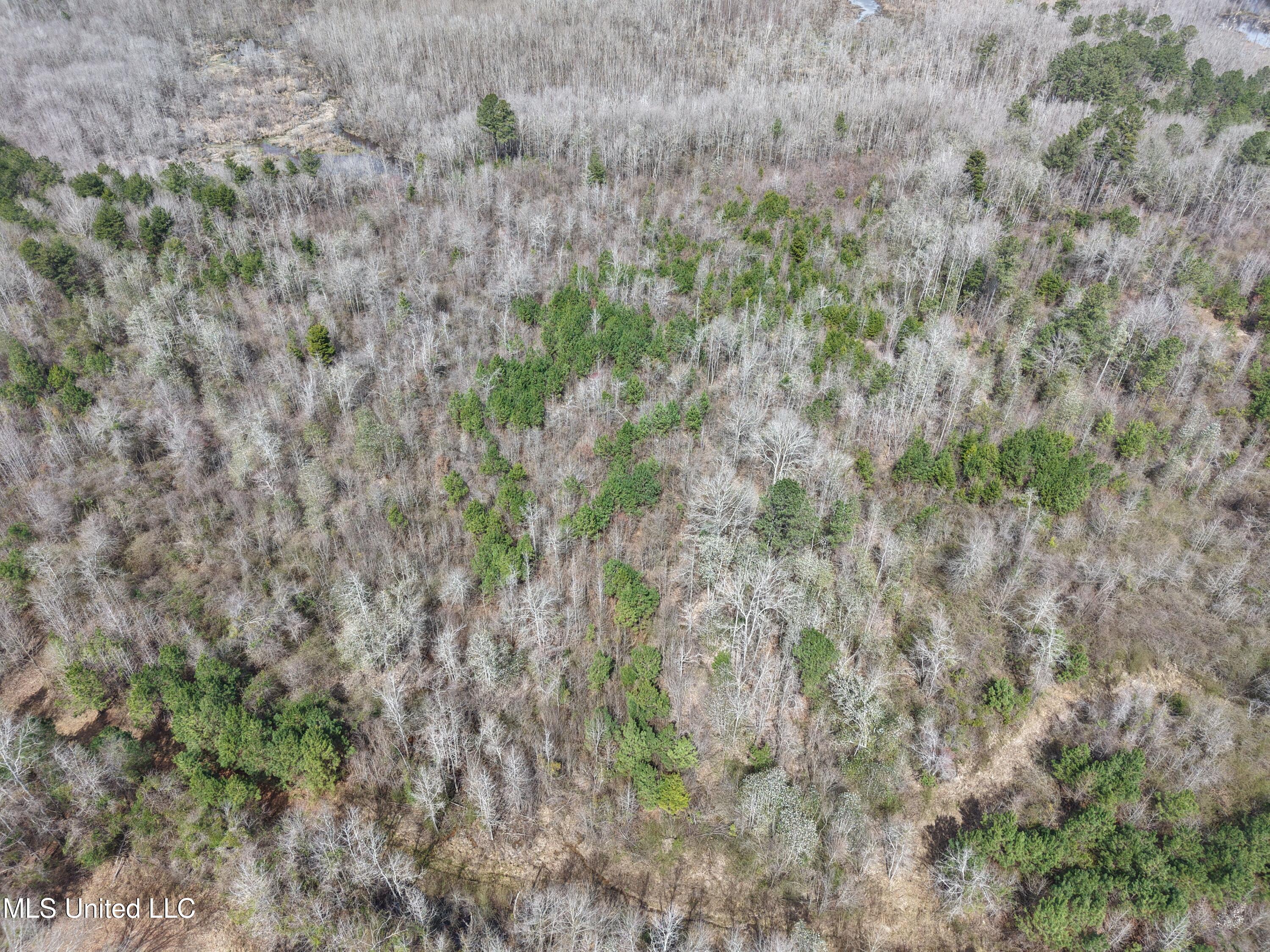Clyde Evans Rd Property Photo 25