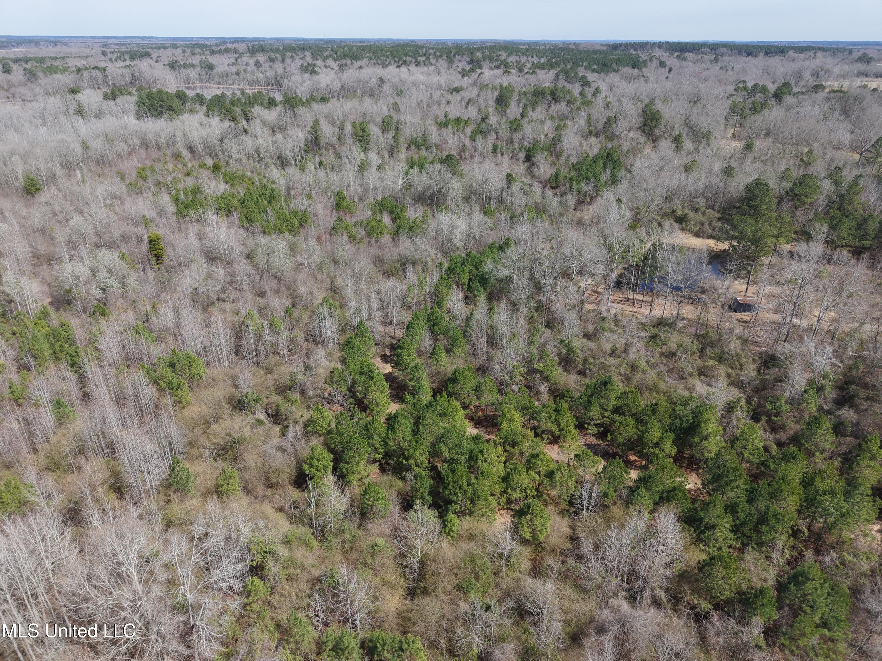 Clyde Evans Rd Property Photo 26