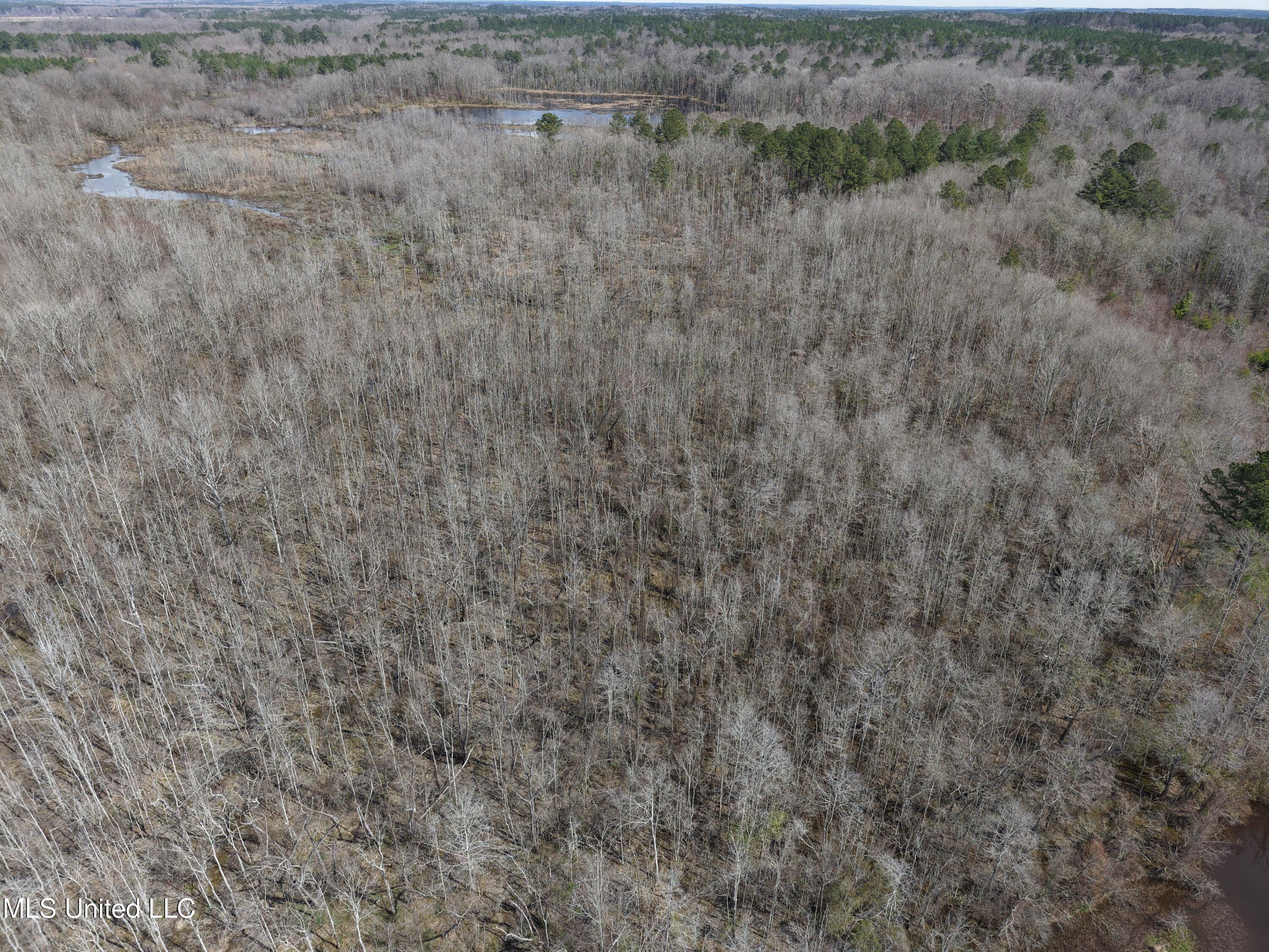 Clyde Evans Rd Property Photo 27