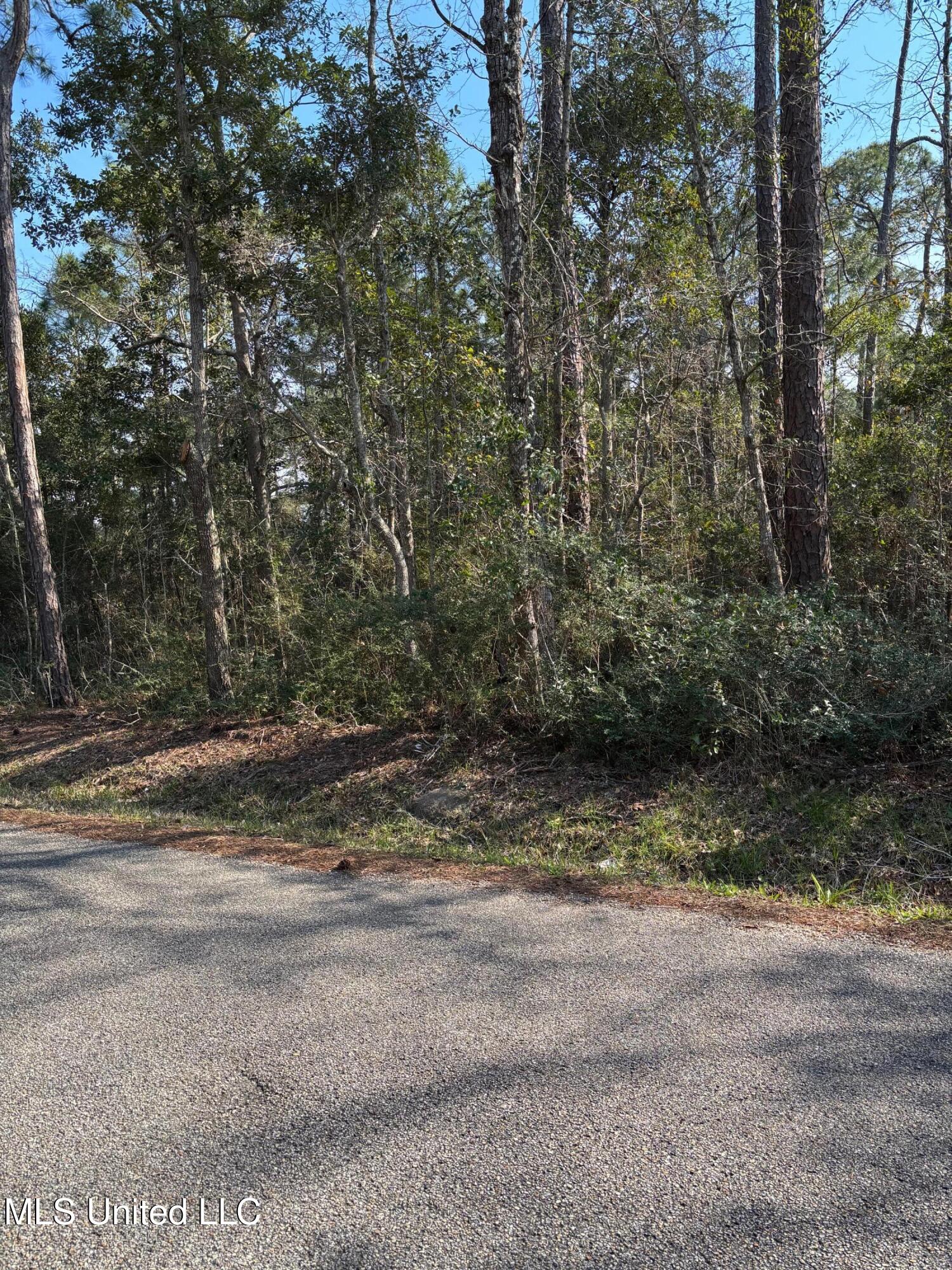 Audubon Lane Property Photo 3