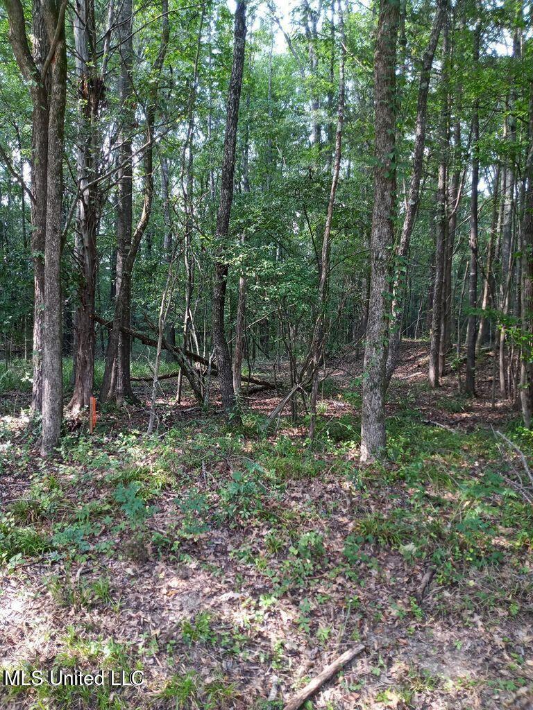 0 Coker Lane Property Photo