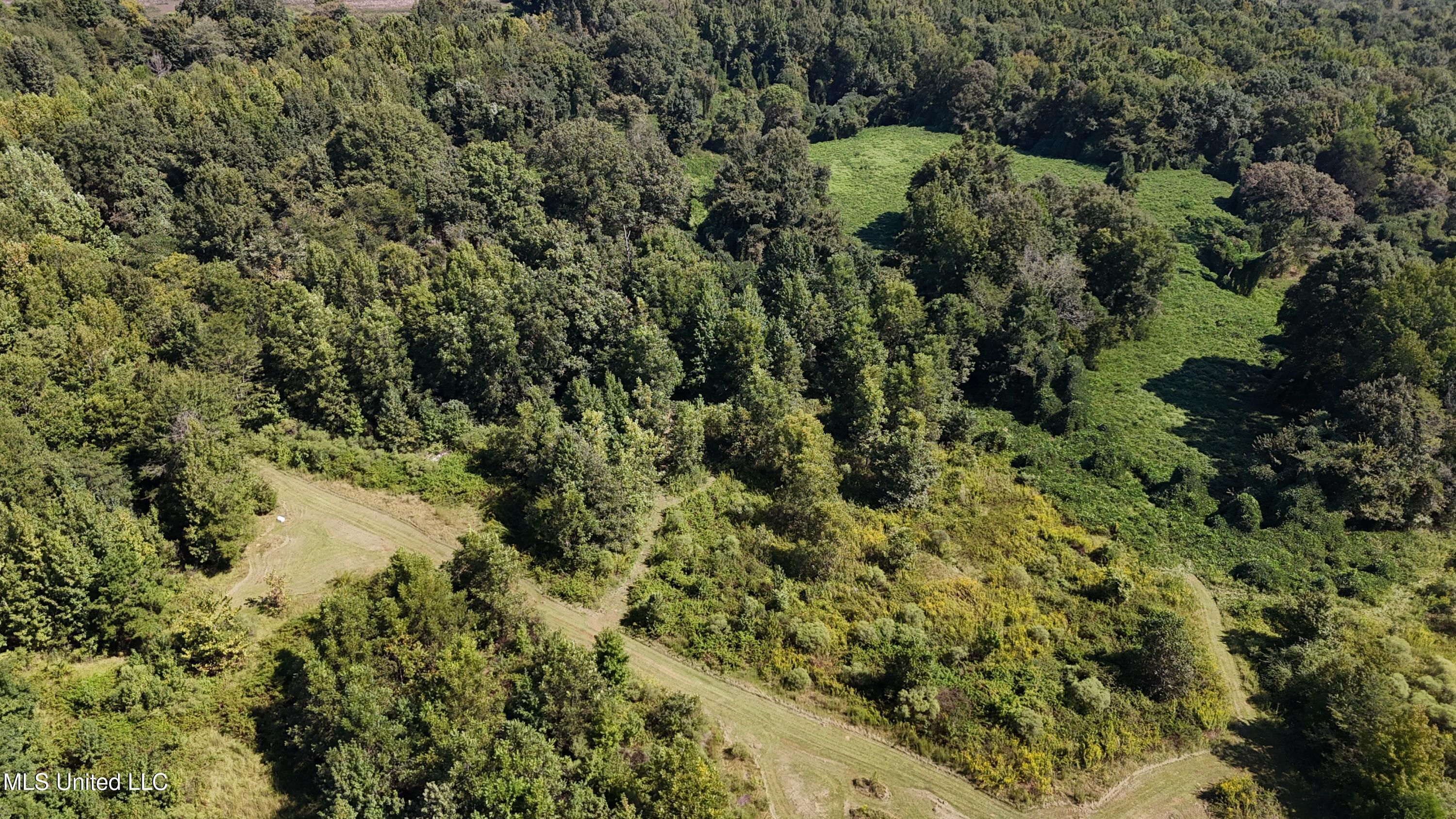 Ms Highway 12 Property Photo 2