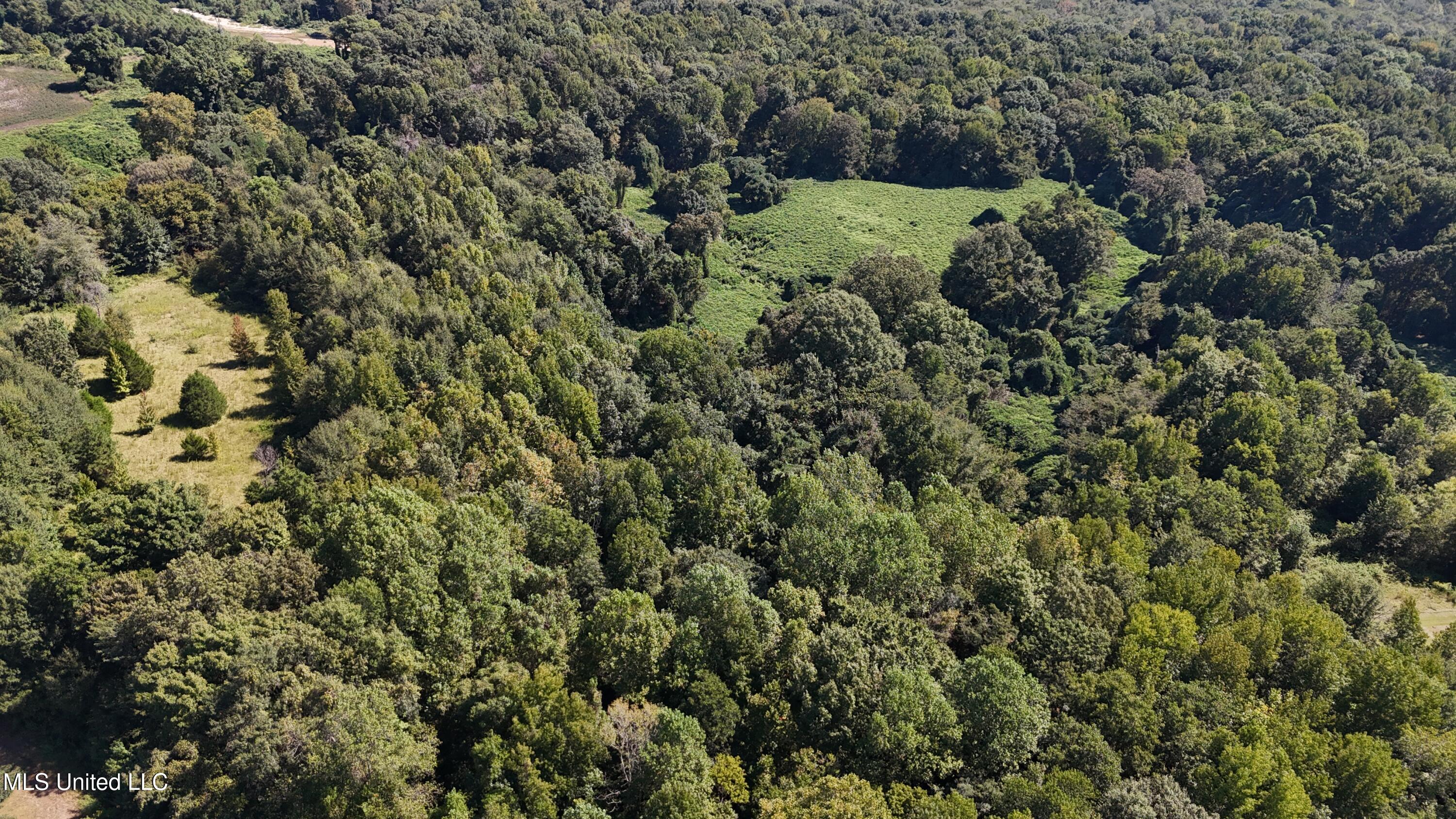 Ms Highway 12 Property Photo 4