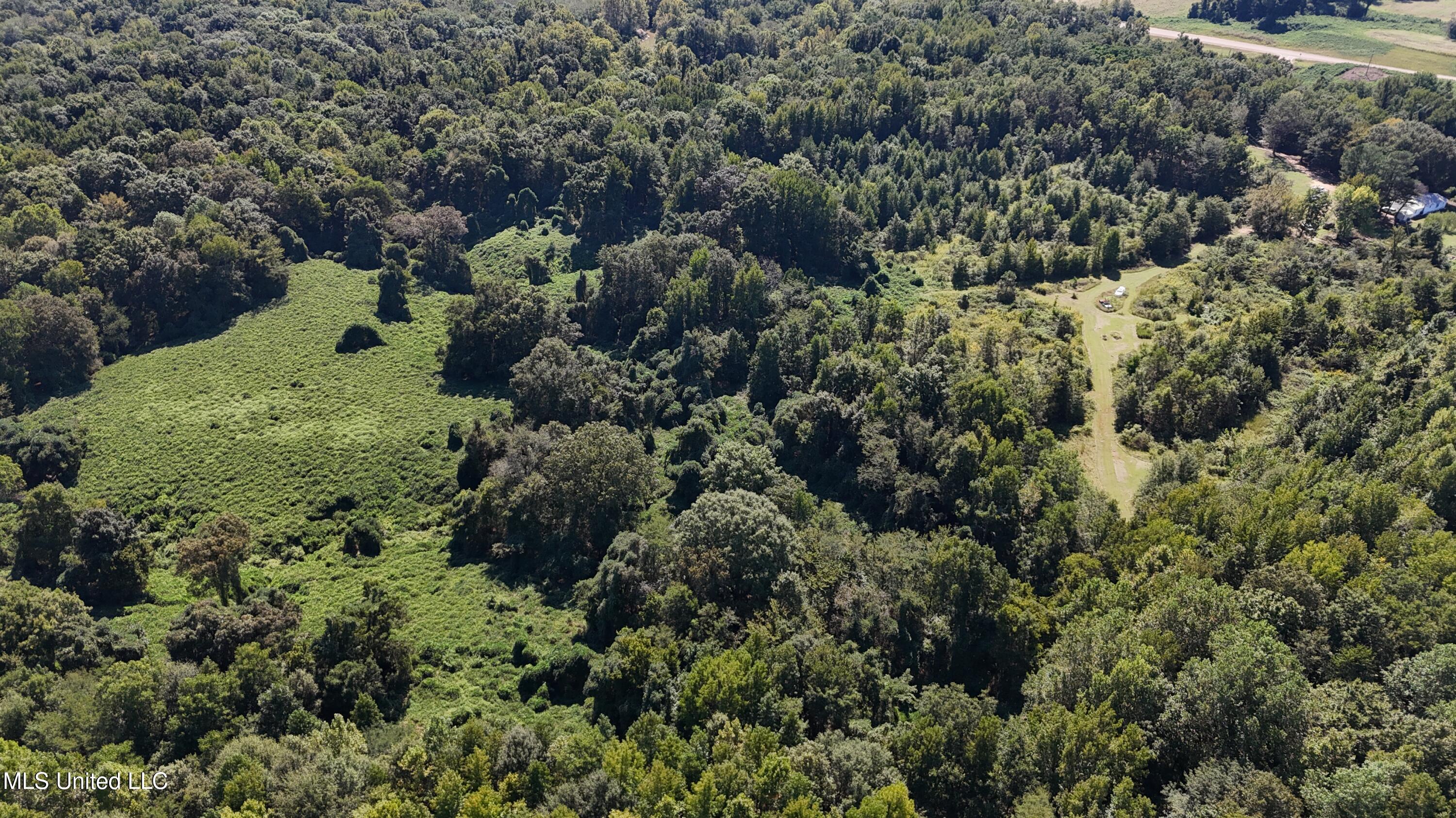 Ms Highway 12 Property Photo 6