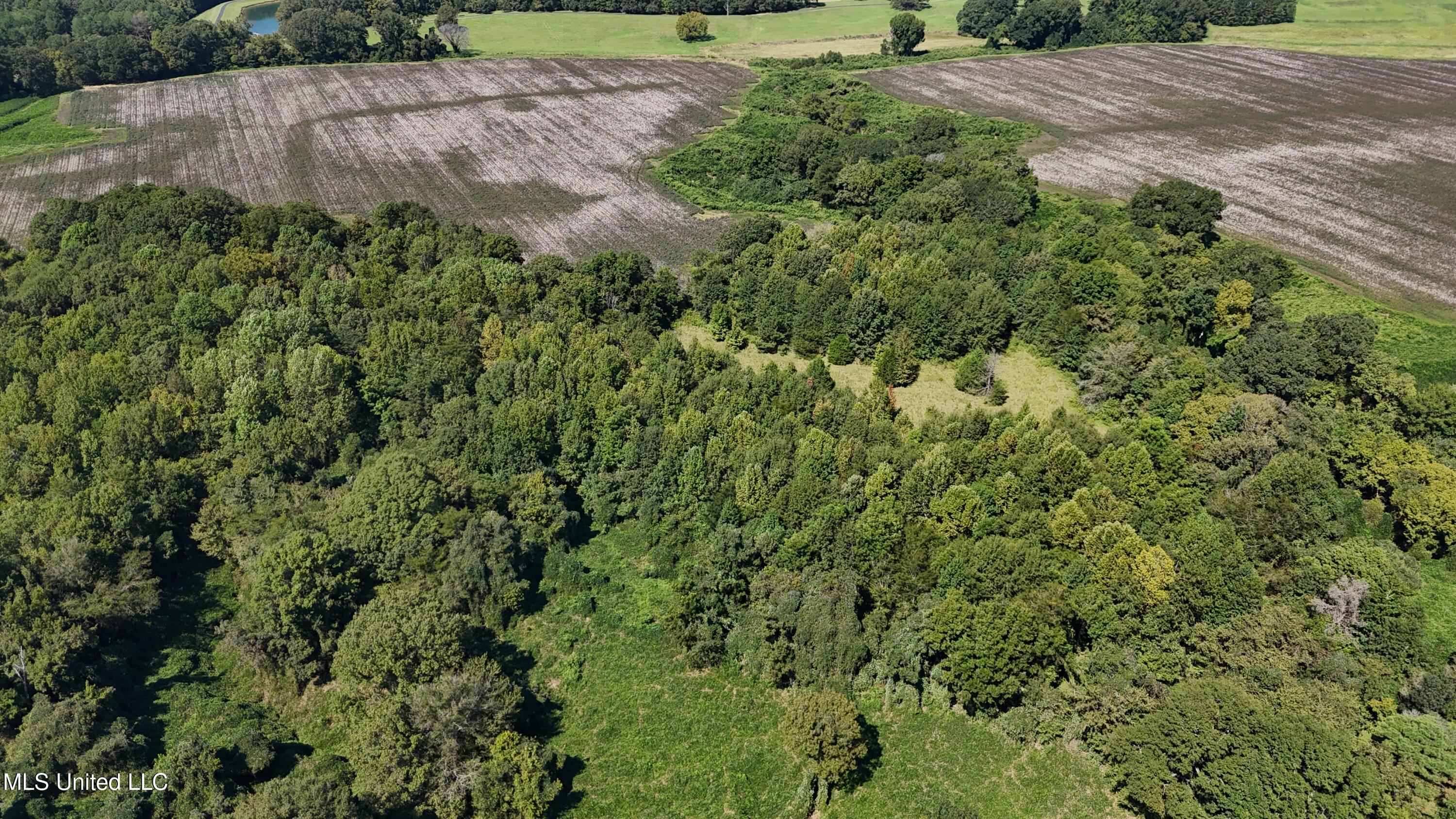 Ms Highway 12 Property Photo 8
