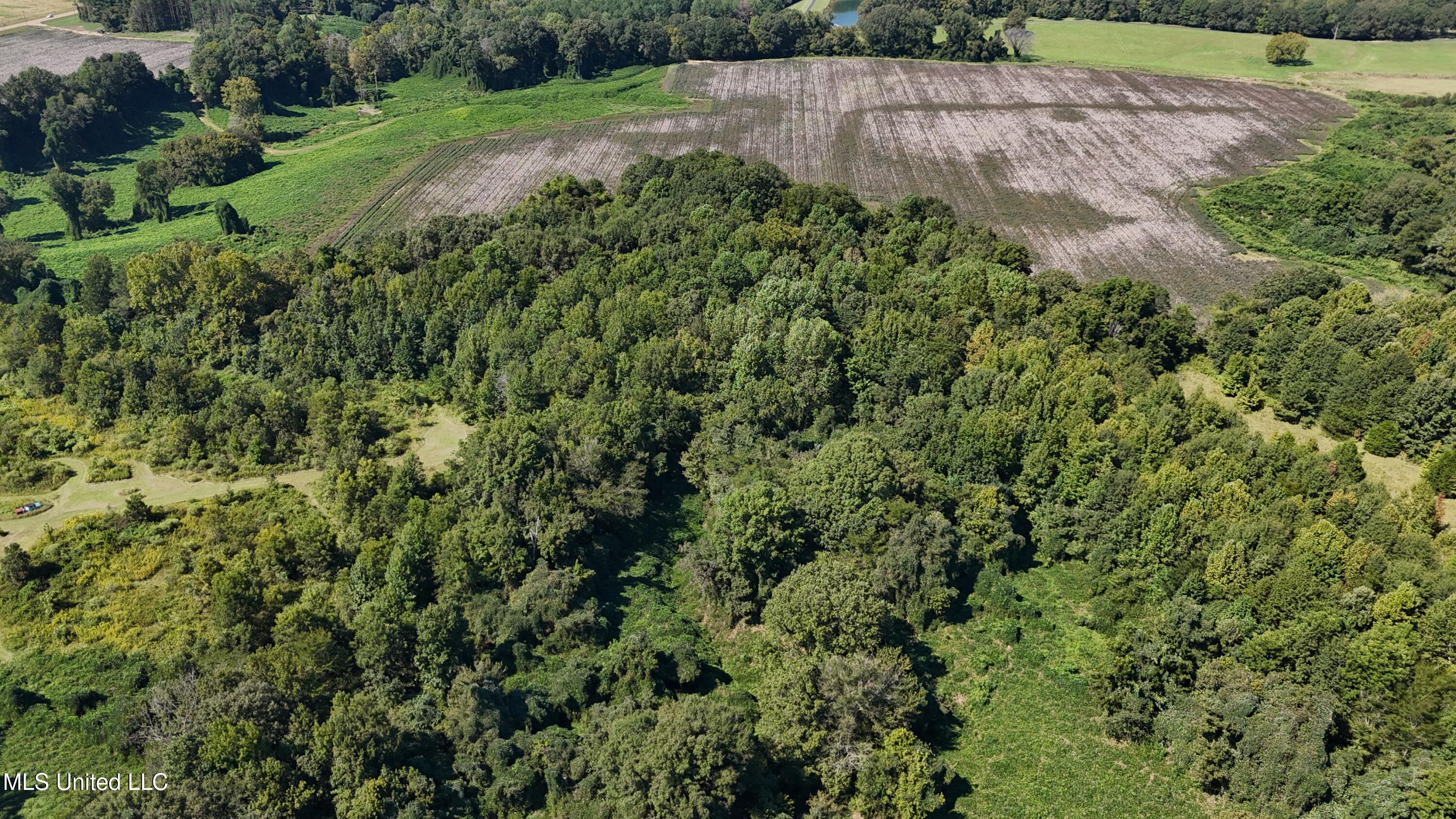 Ms Highway 12 Property Photo 9