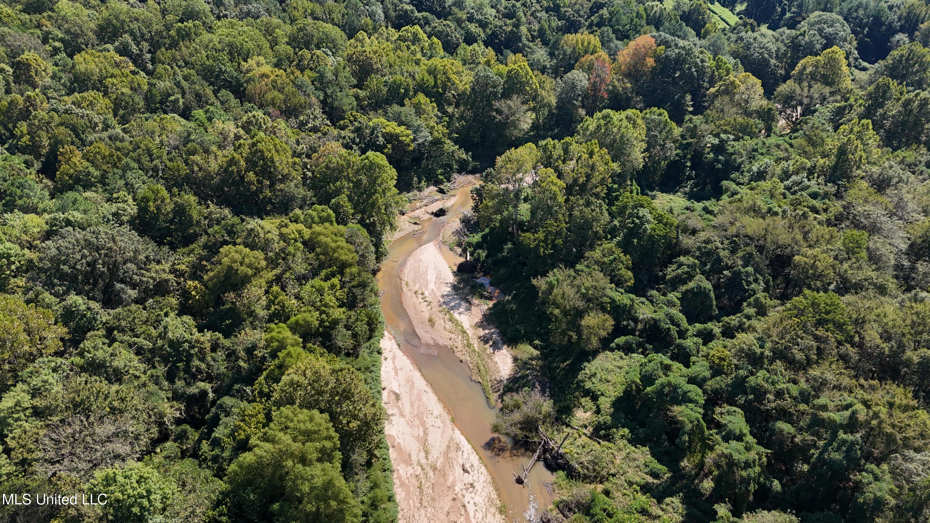 Ms Highway 12 Property Photo 12