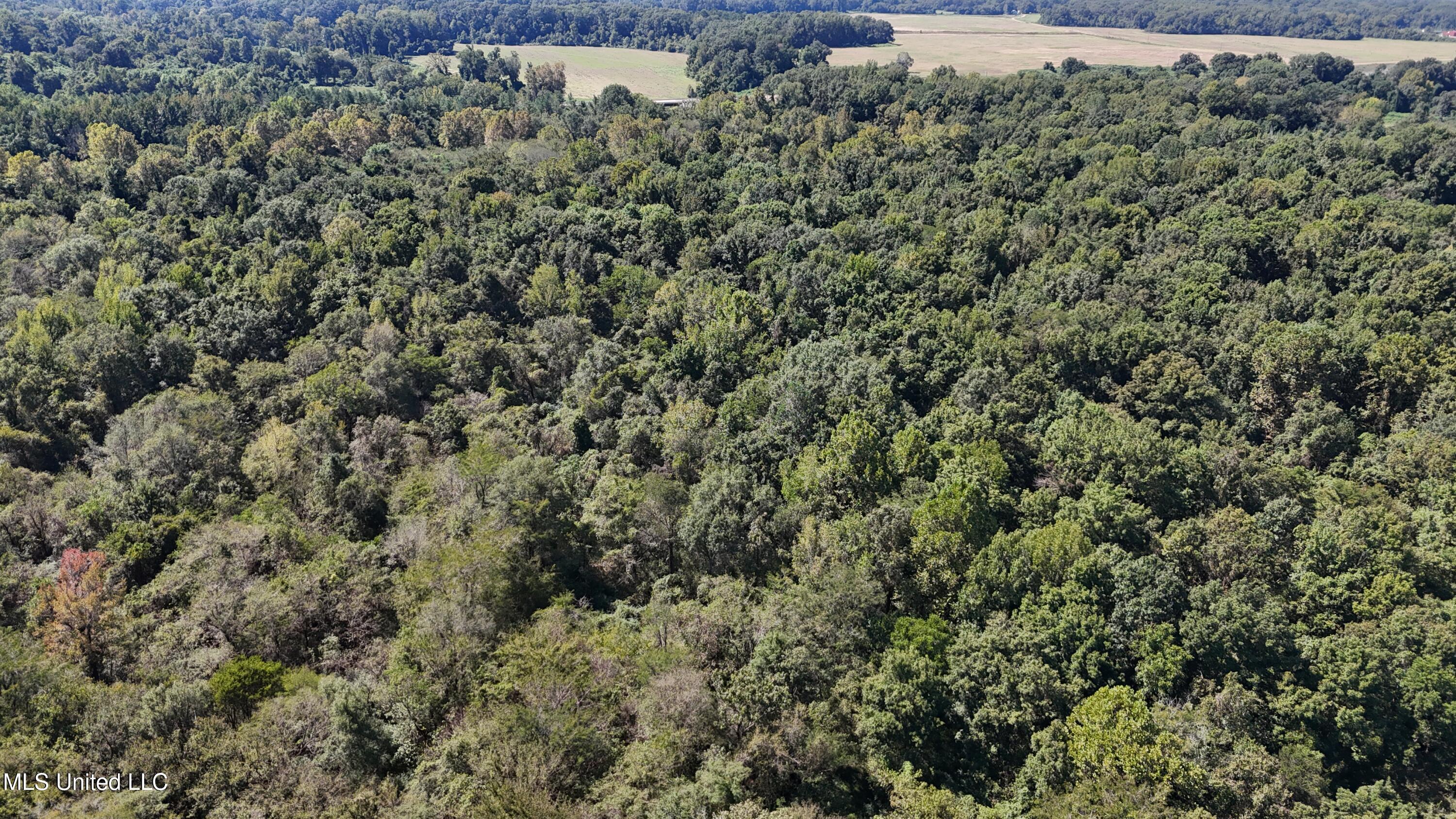 Ms Highway 12 Property Photo 13