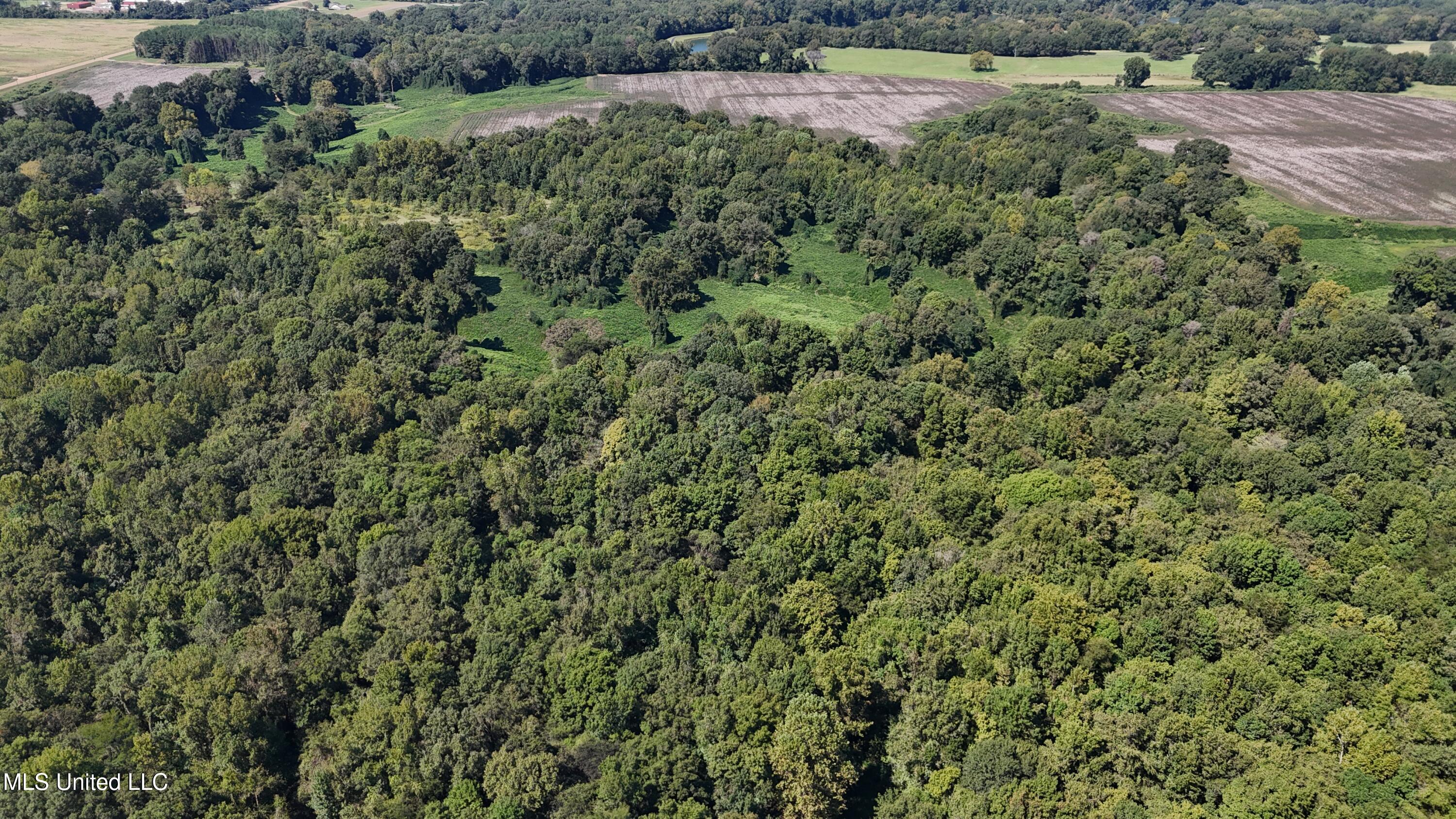 Ms Highway 12 Property Photo 18