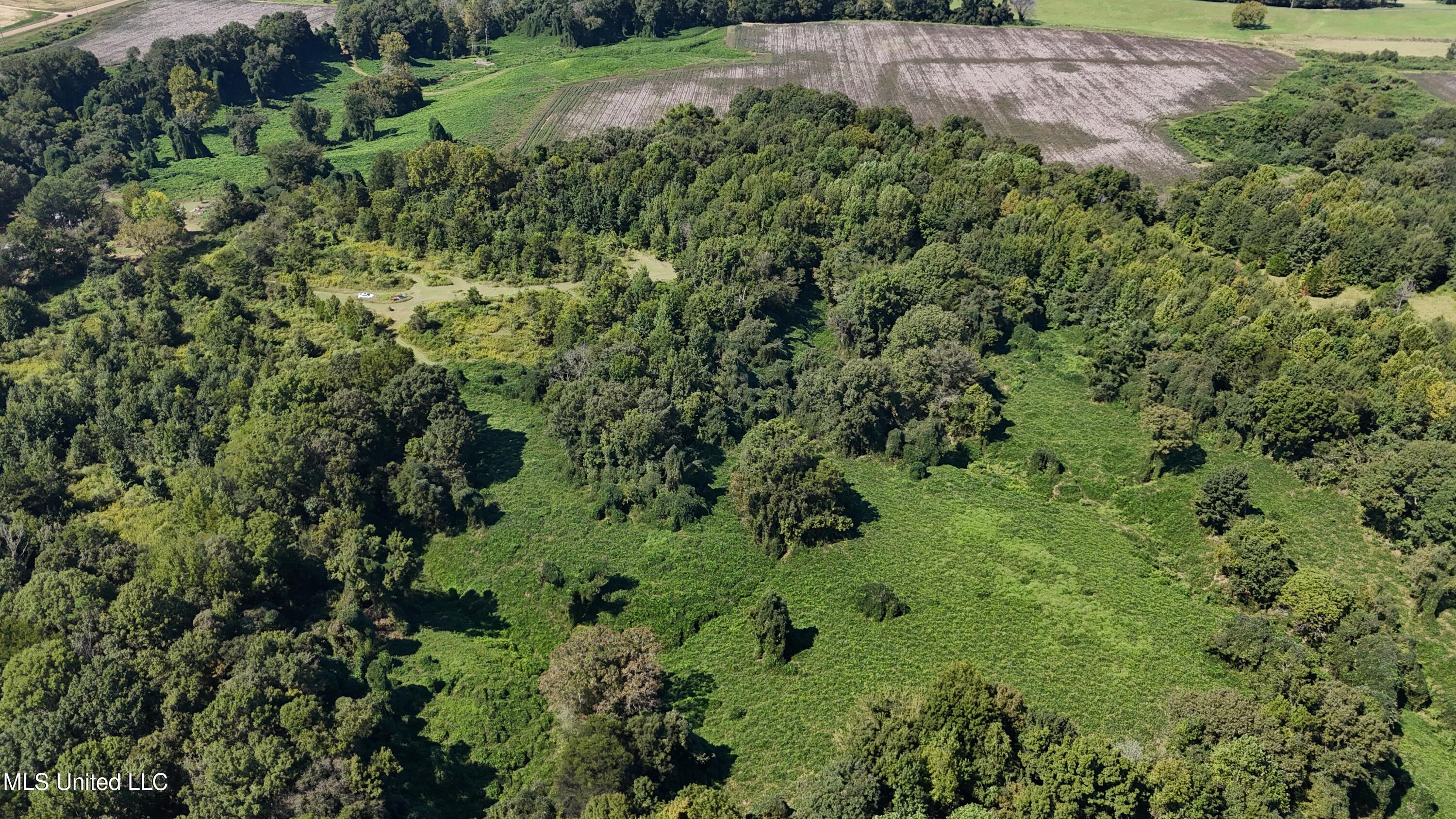 Ms Highway 12 Property Photo 19