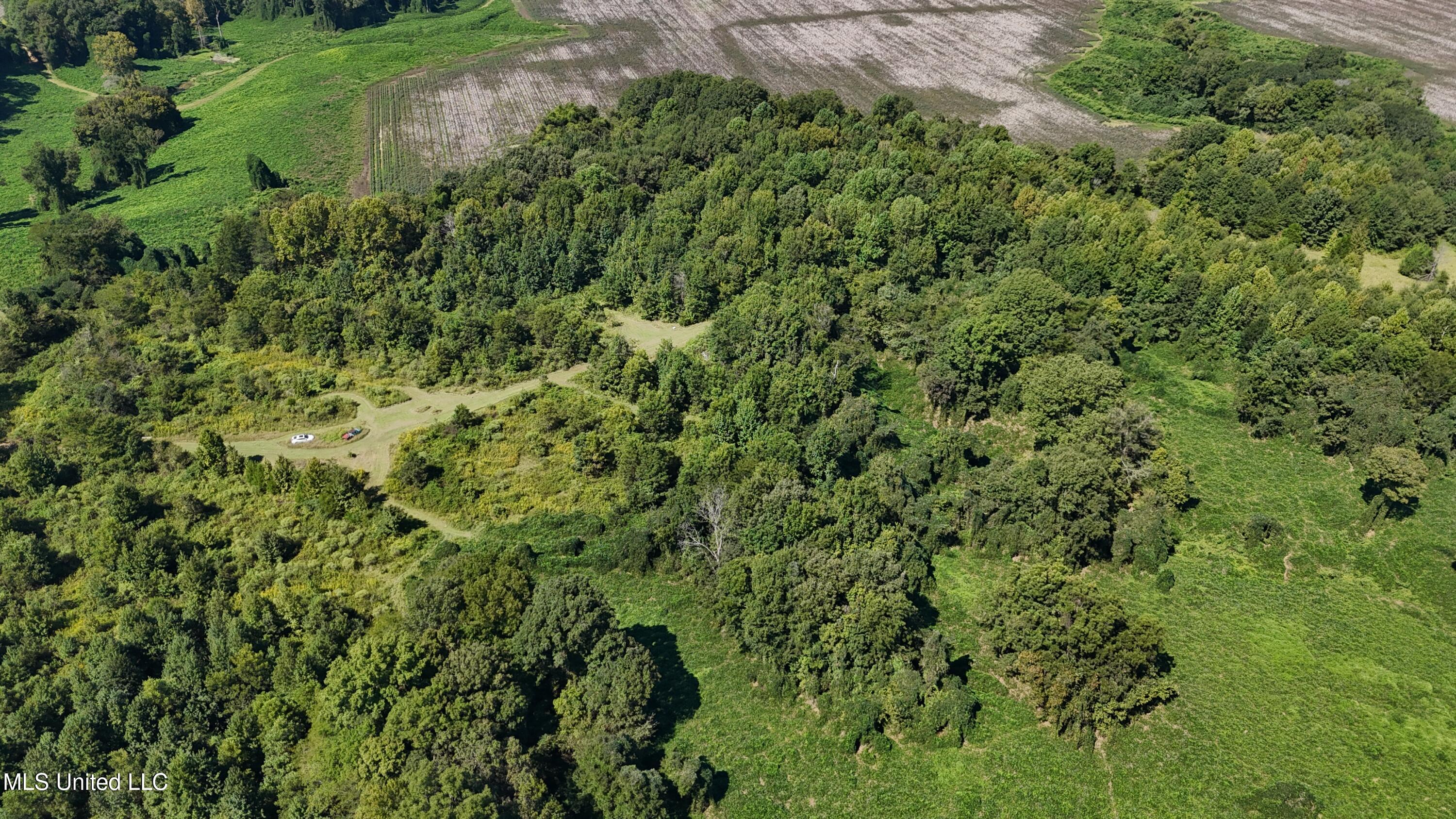 Ms Highway 12 Property Photo 21