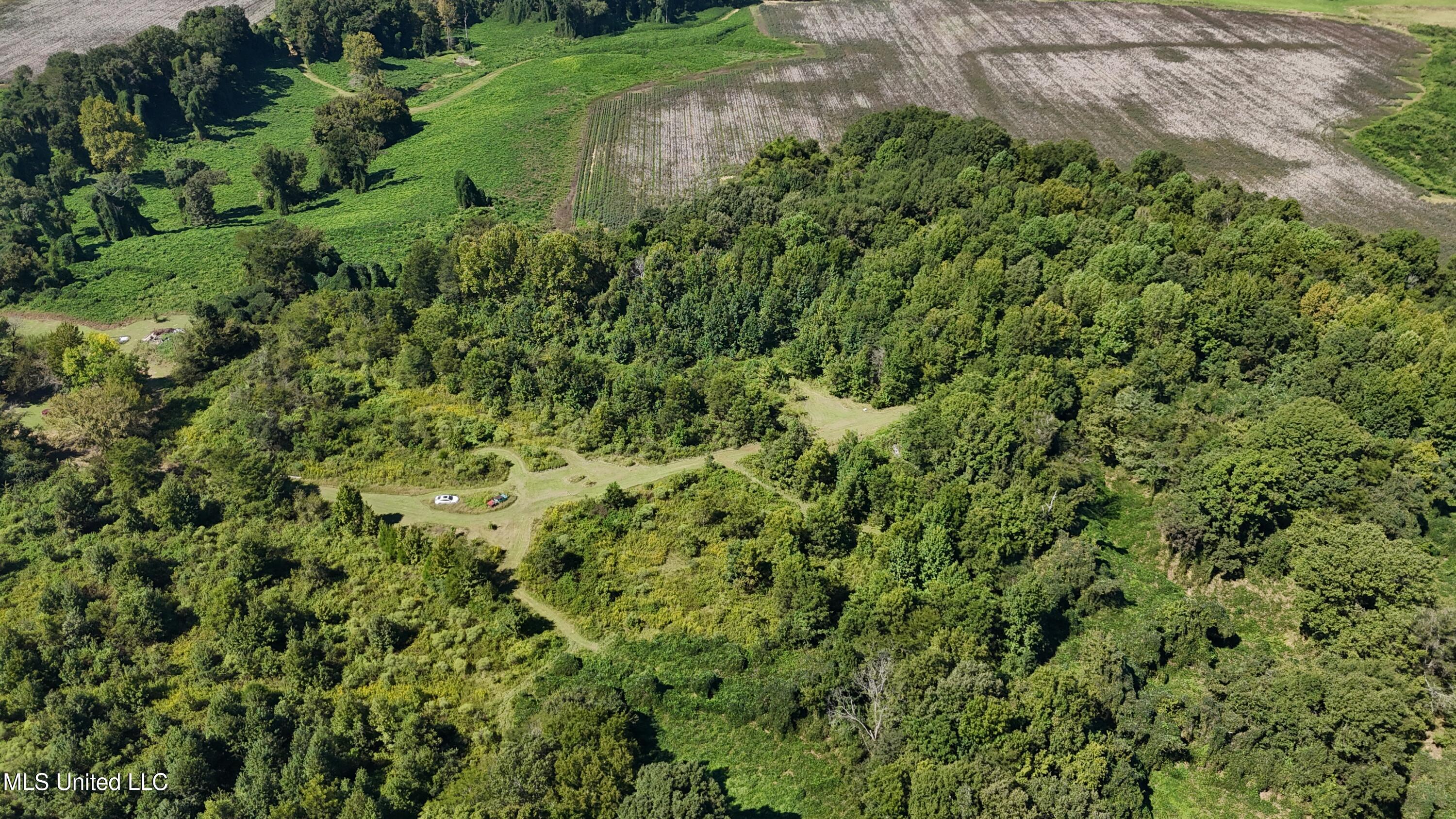 Ms Highway 12 Property Photo 22