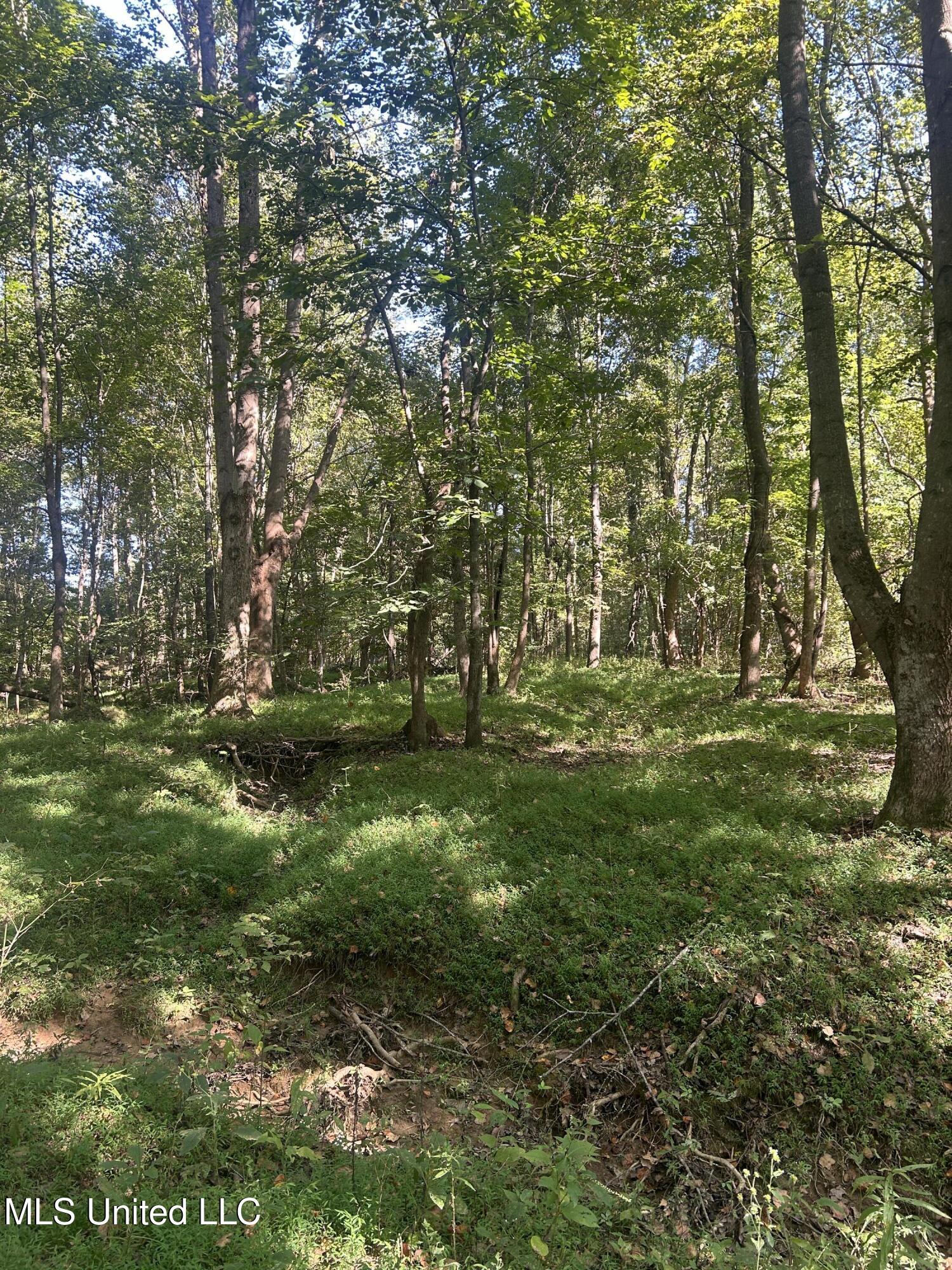 Ms Highway 12 Property Photo 23