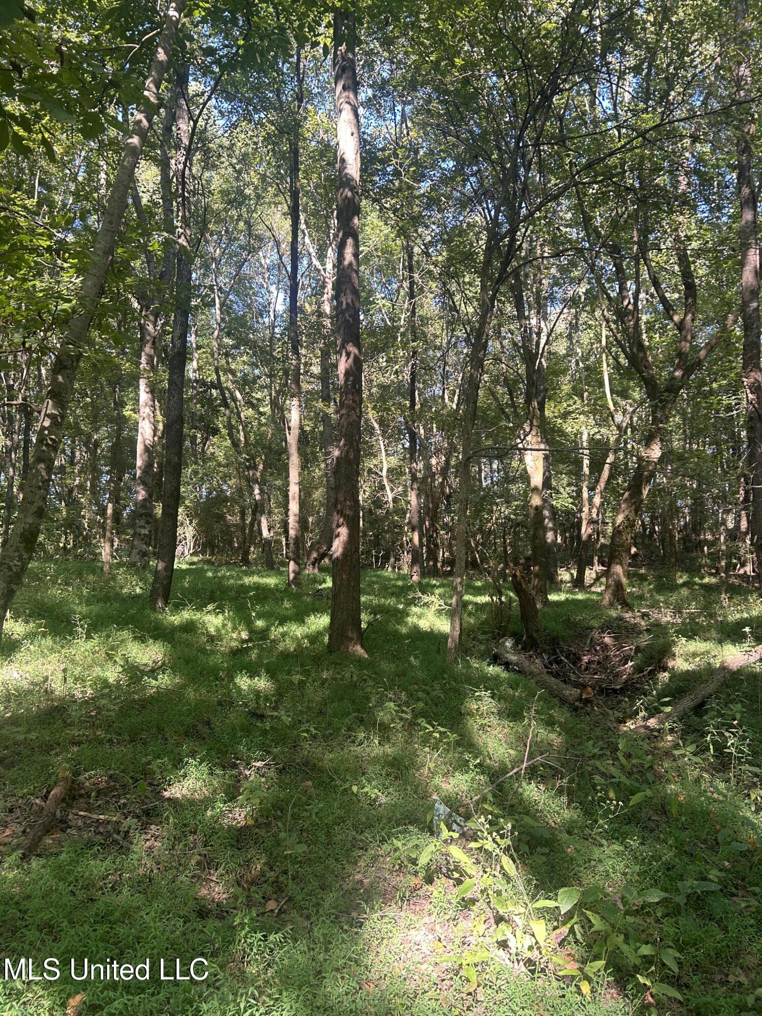 Ms Highway 12 Property Photo 24