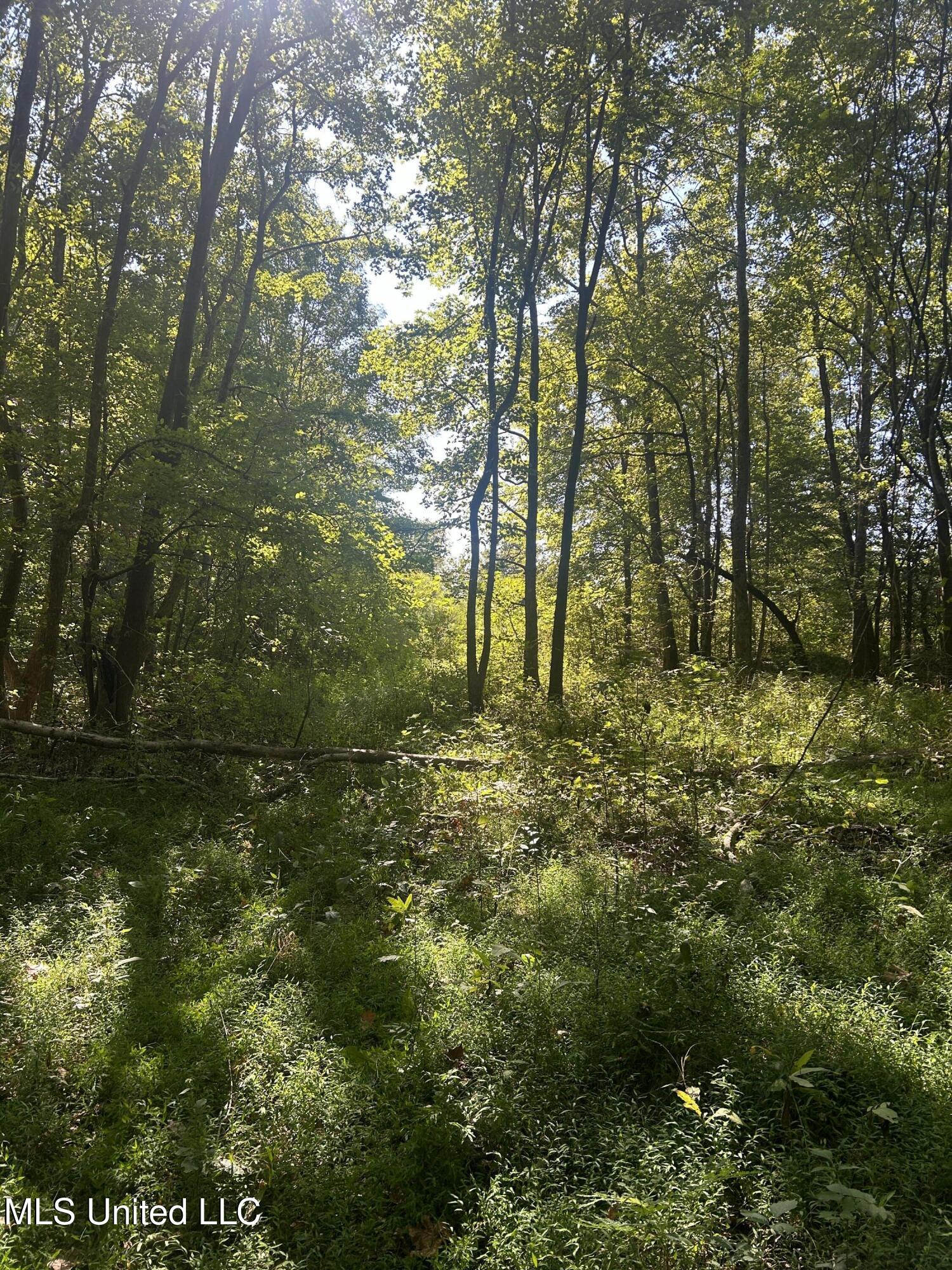Ms Highway 12 Property Photo 25