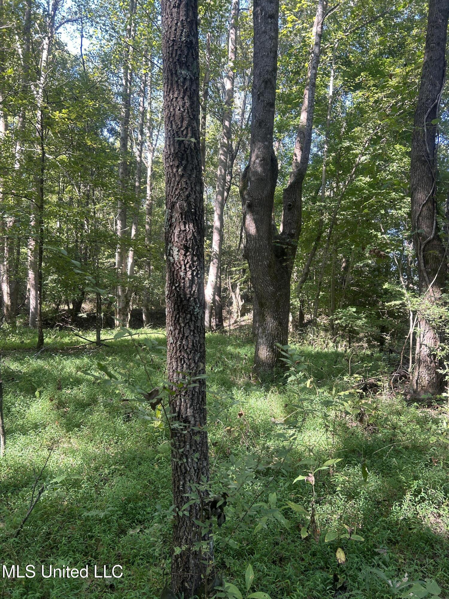 Ms Highway 12 Property Photo 26