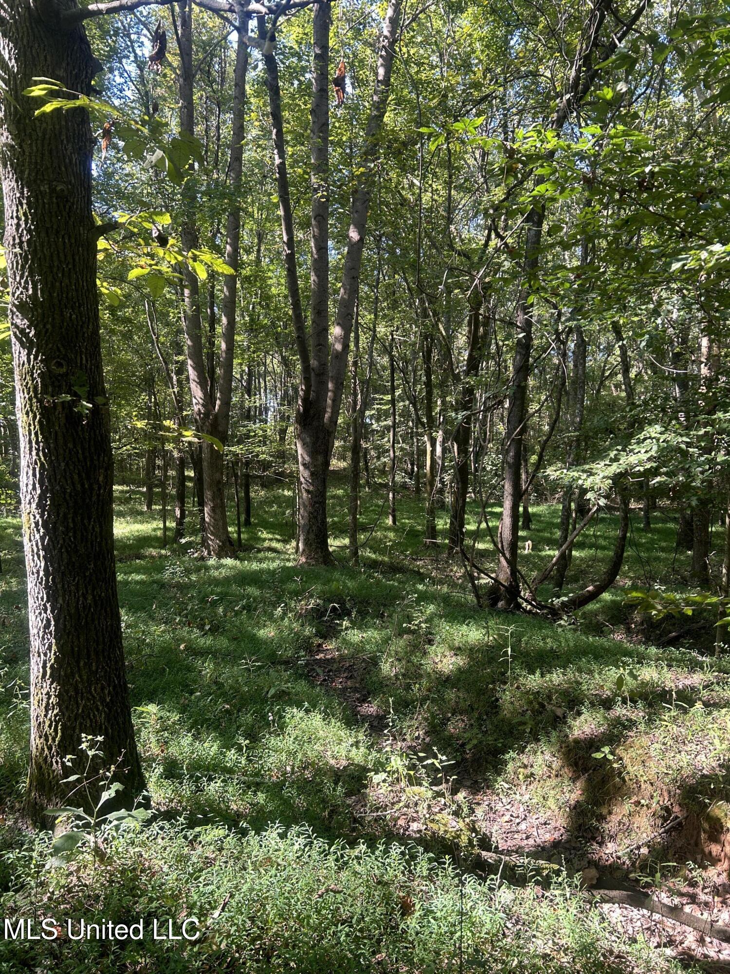 Ms Highway 12 Property Photo 27