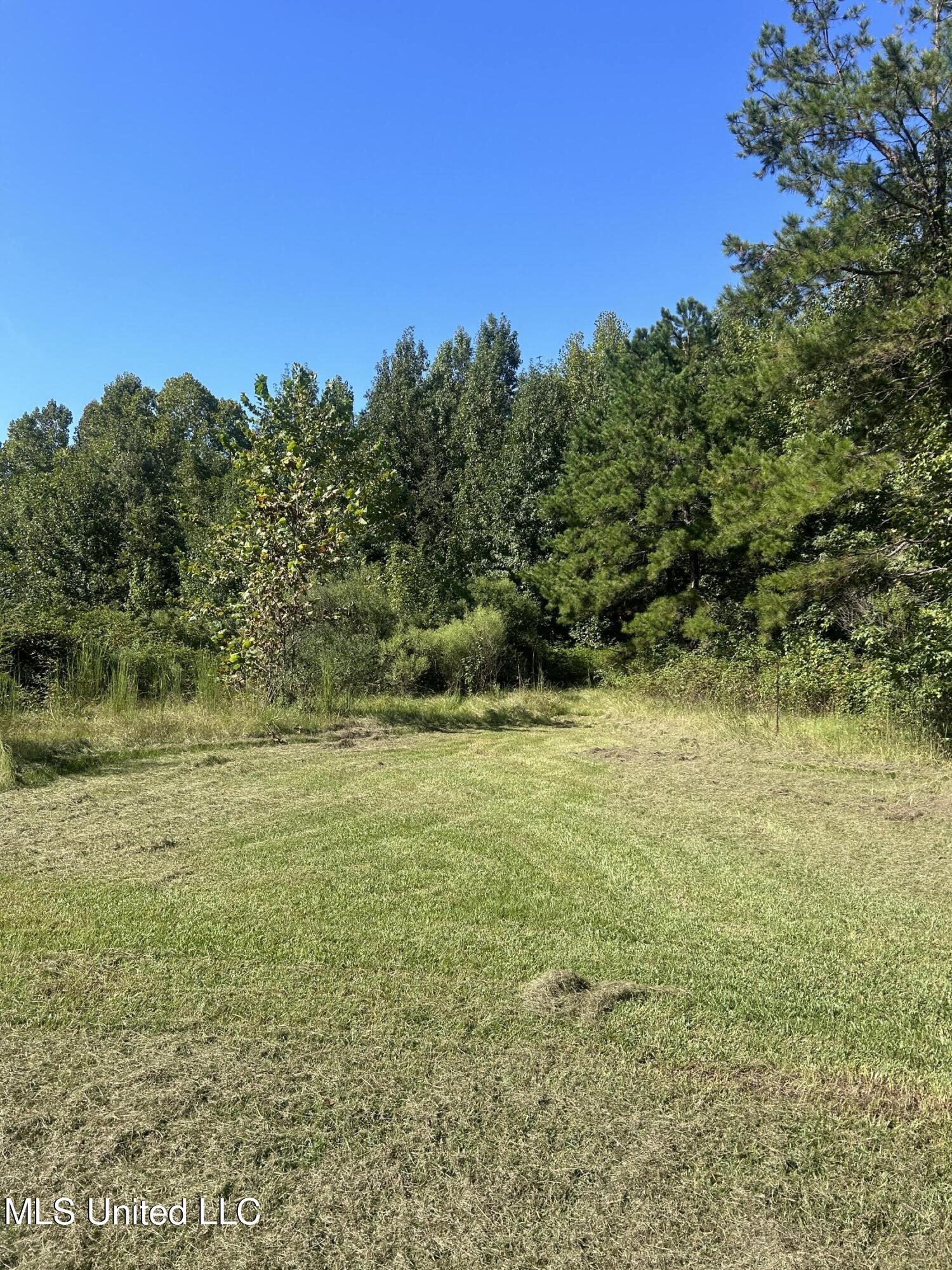 Ms Highway 12 Property Photo 28