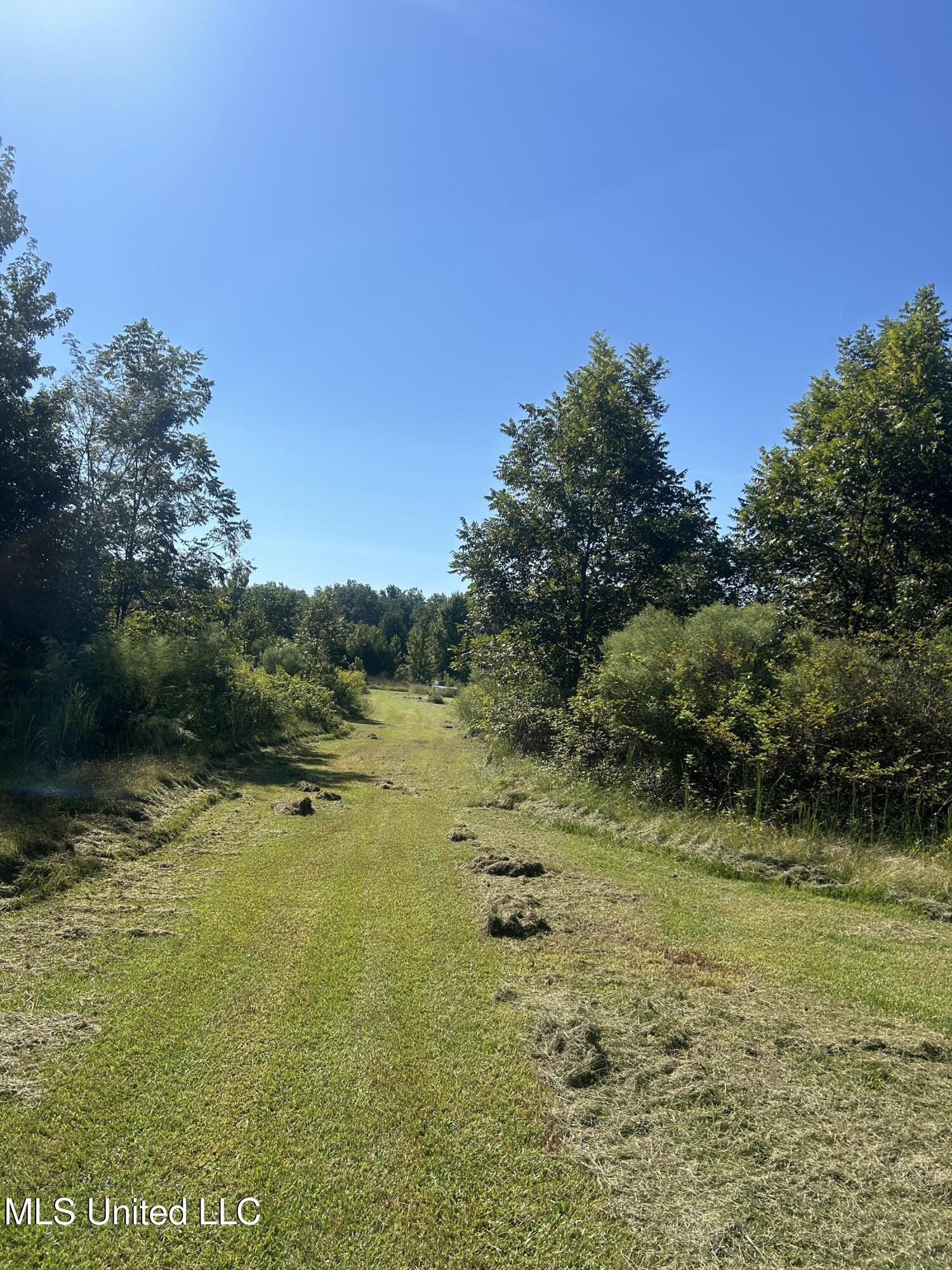 Ms Highway 12 Property Photo 29