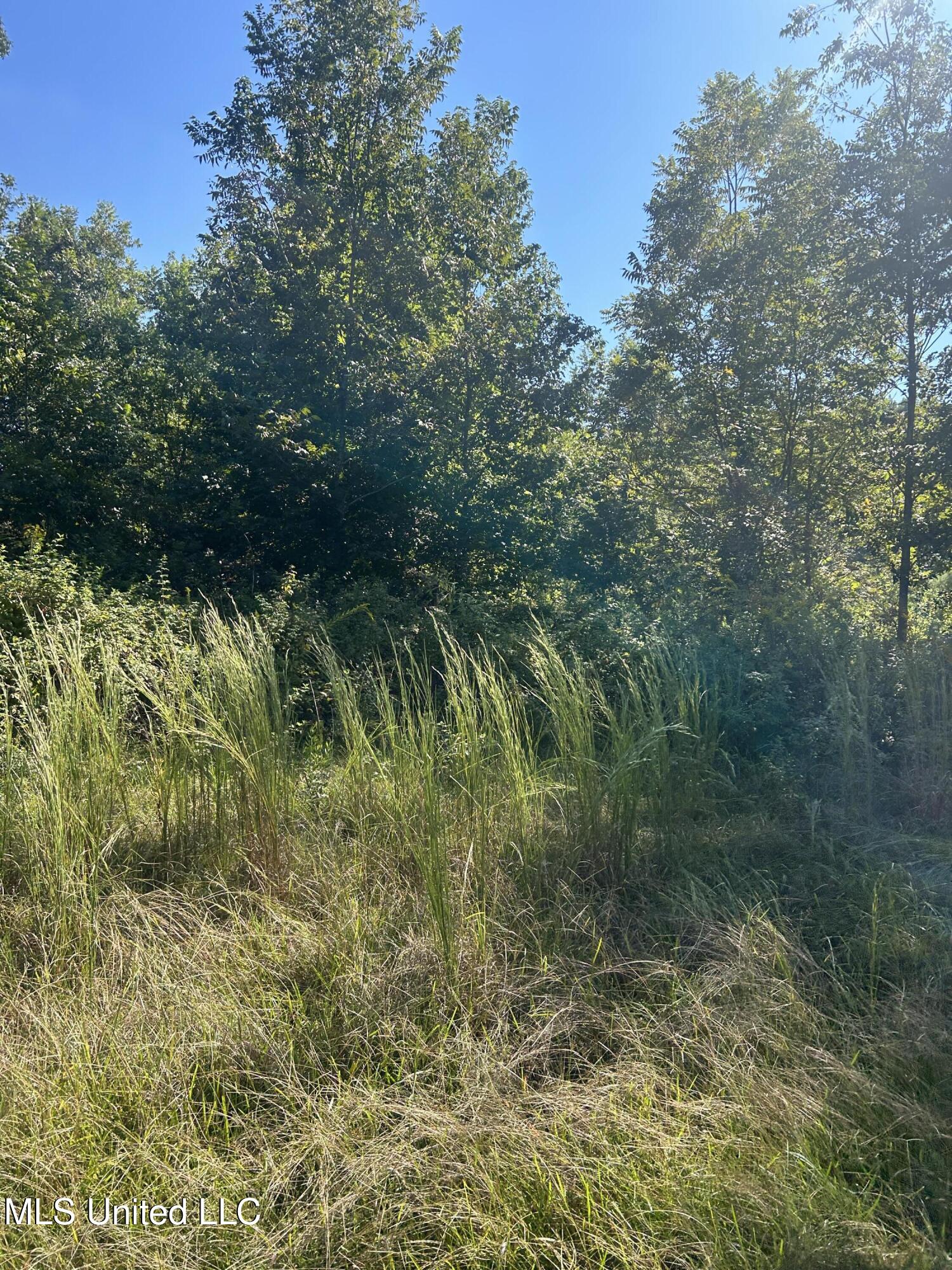 Ms Highway 12 Property Photo 30