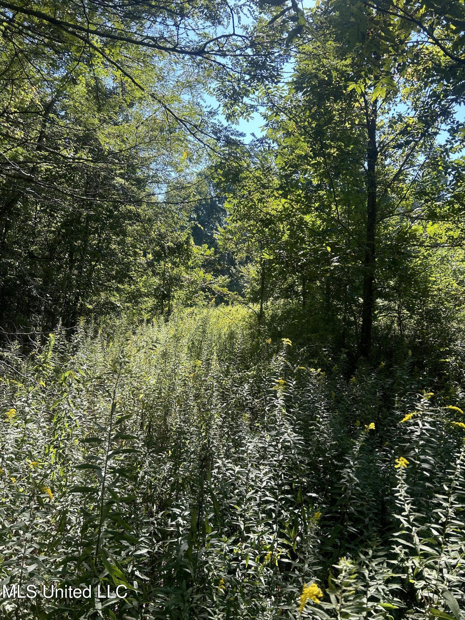 Ms Highway 12 Property Photo 31