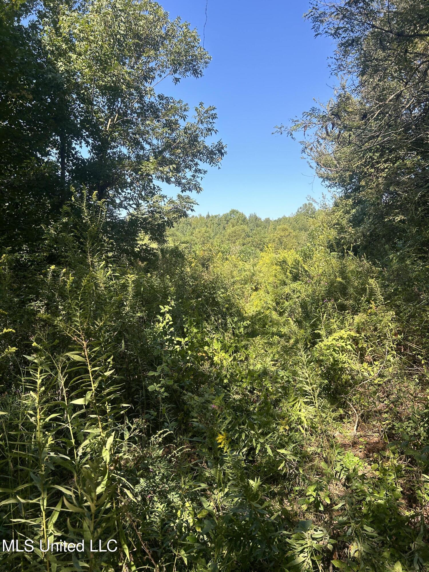 Ms Highway 12 Property Photo 32