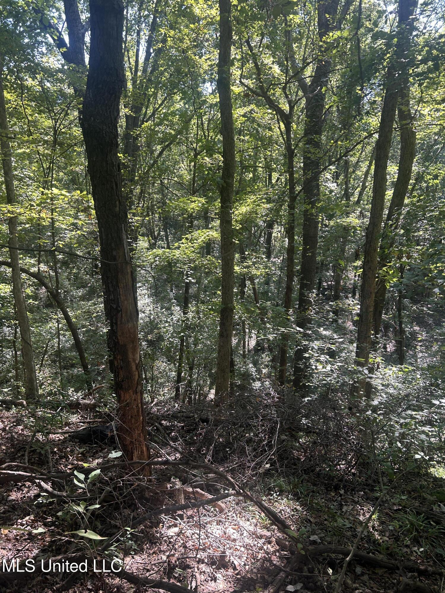 Ms Highway 12 Property Photo 33