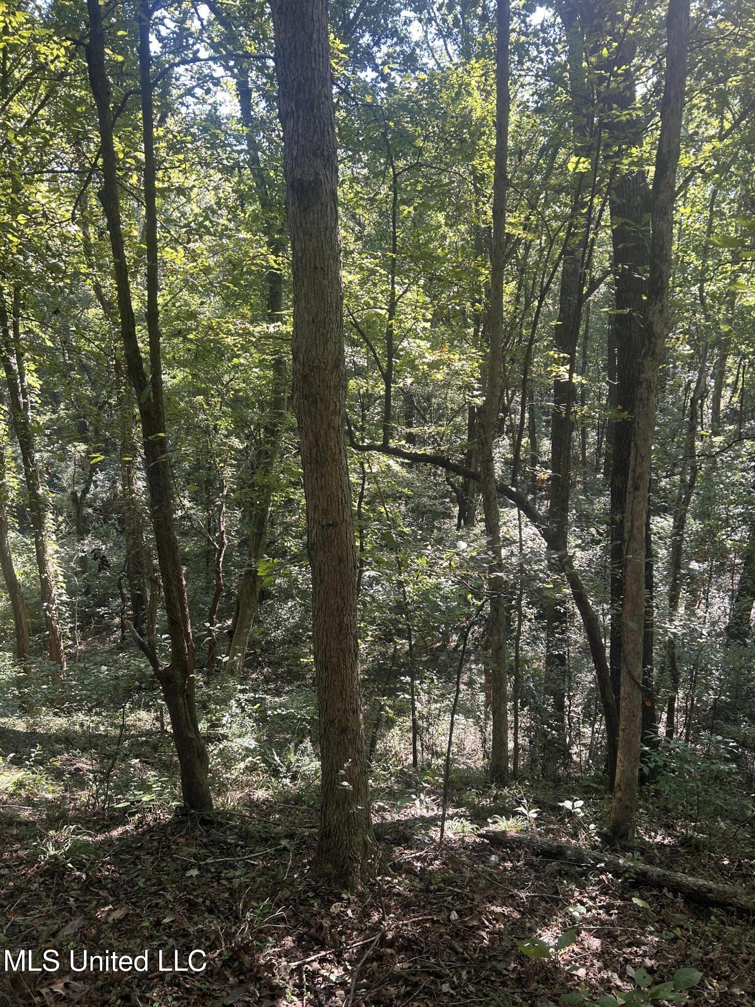 Ms Highway 12 Property Photo 34
