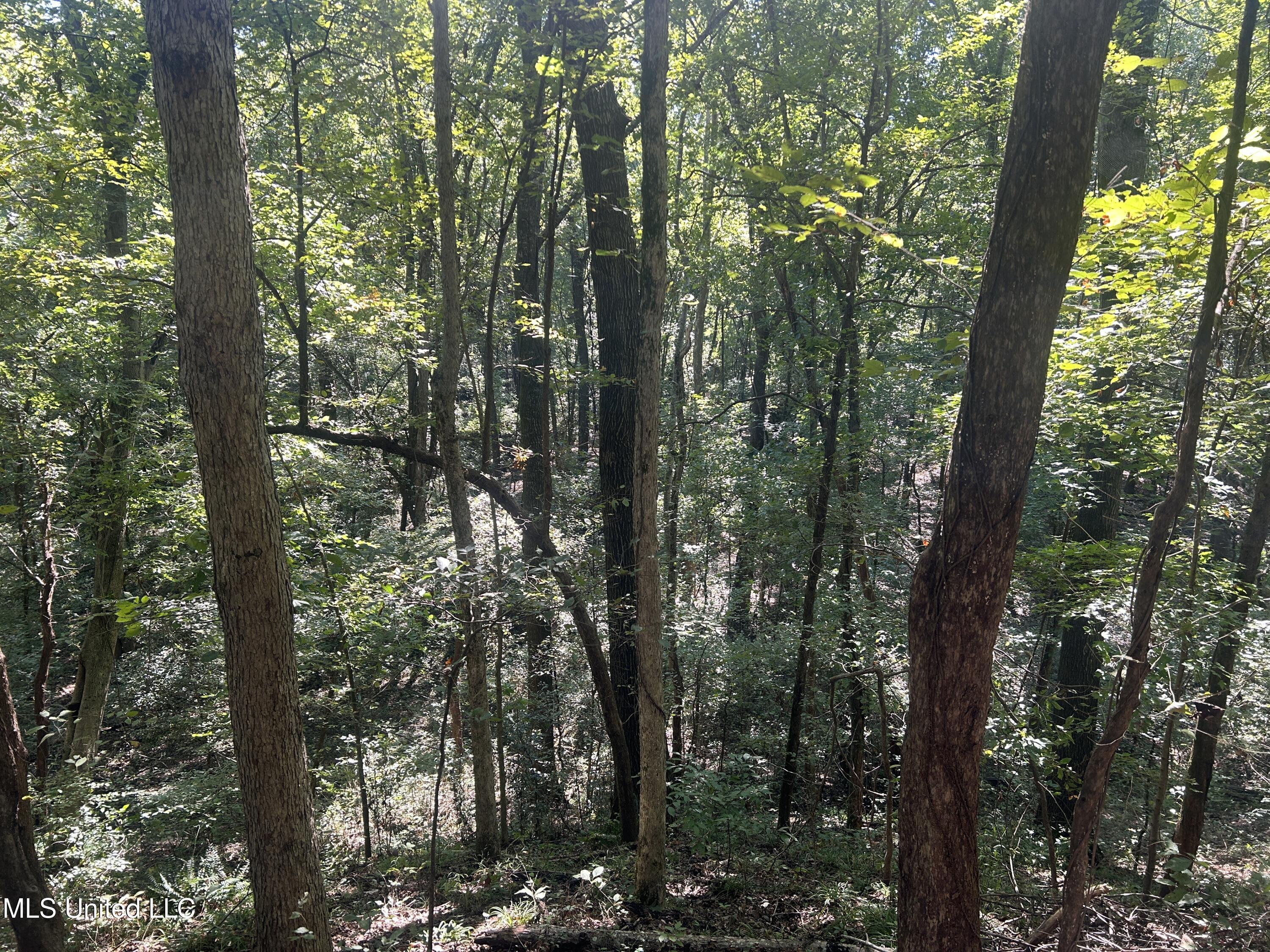 Ms Highway 12 Property Photo 35