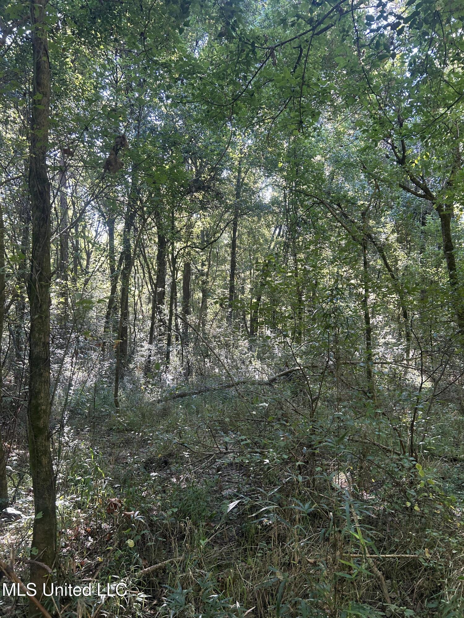 Ms Highway 12 Property Photo 36