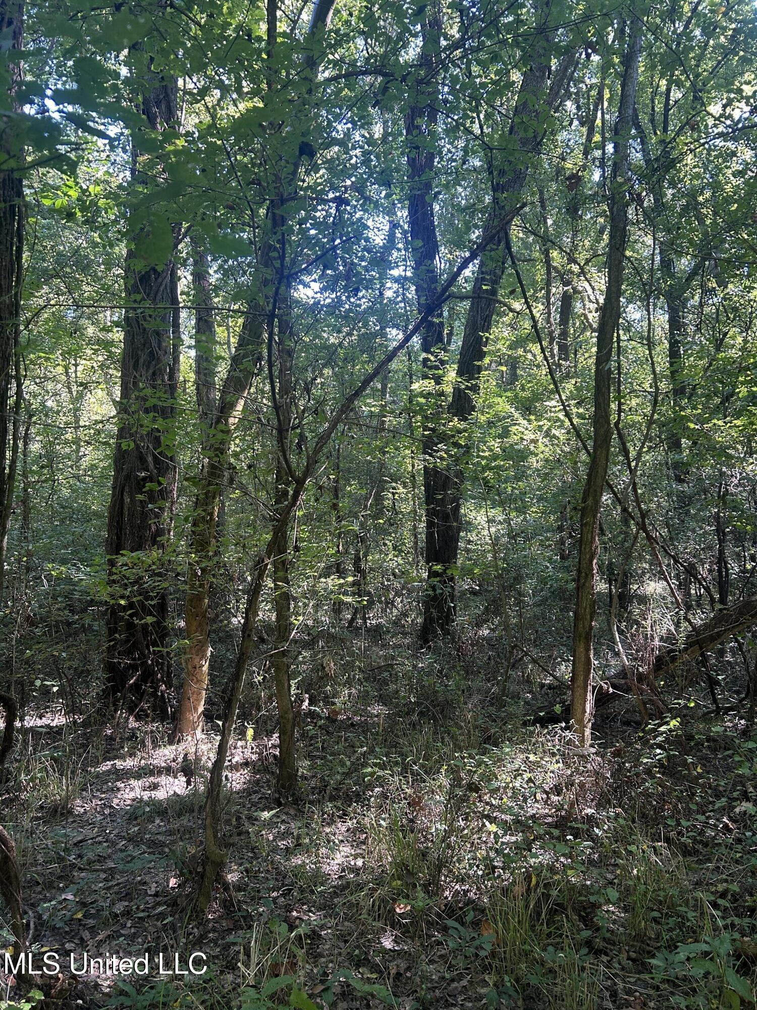 Ms Highway 12 Property Photo 37