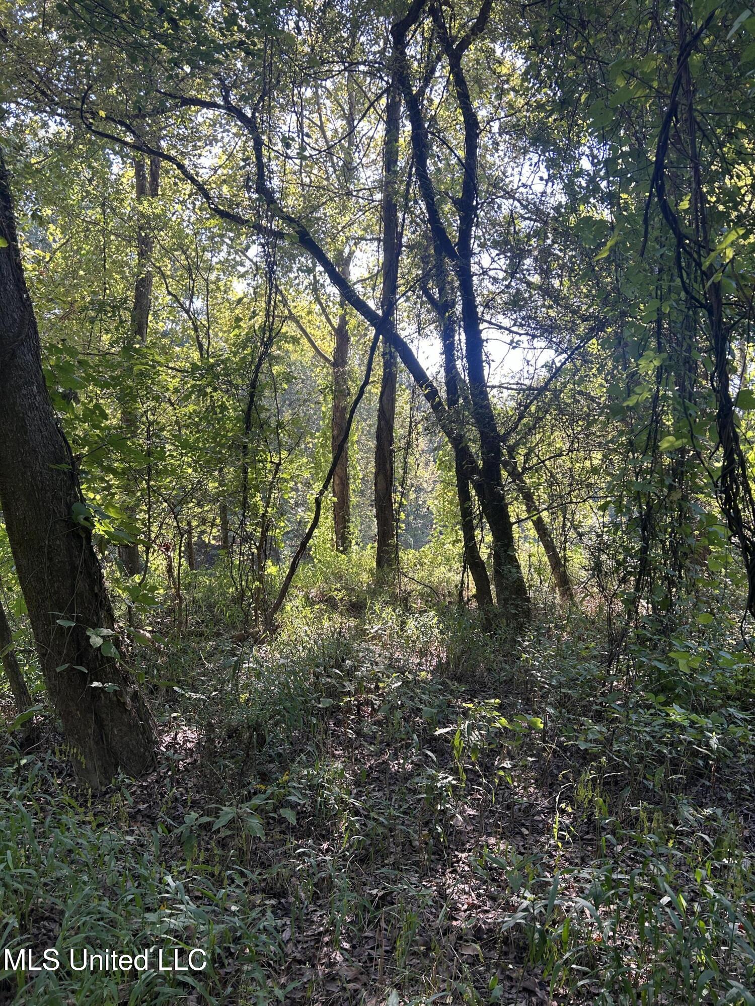 Ms Highway 12 Property Photo 38