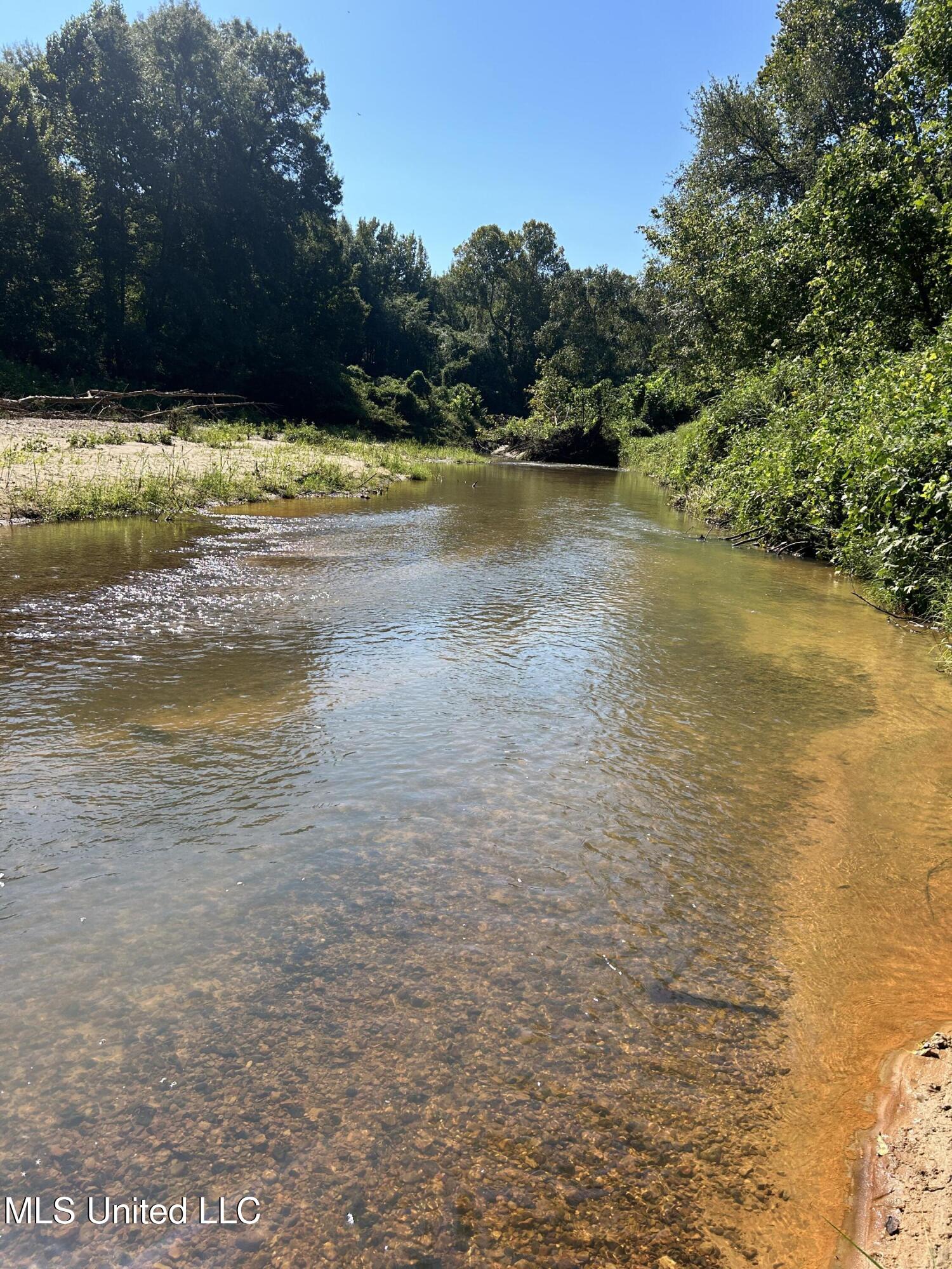 Ms Highway 12 Property Photo 50