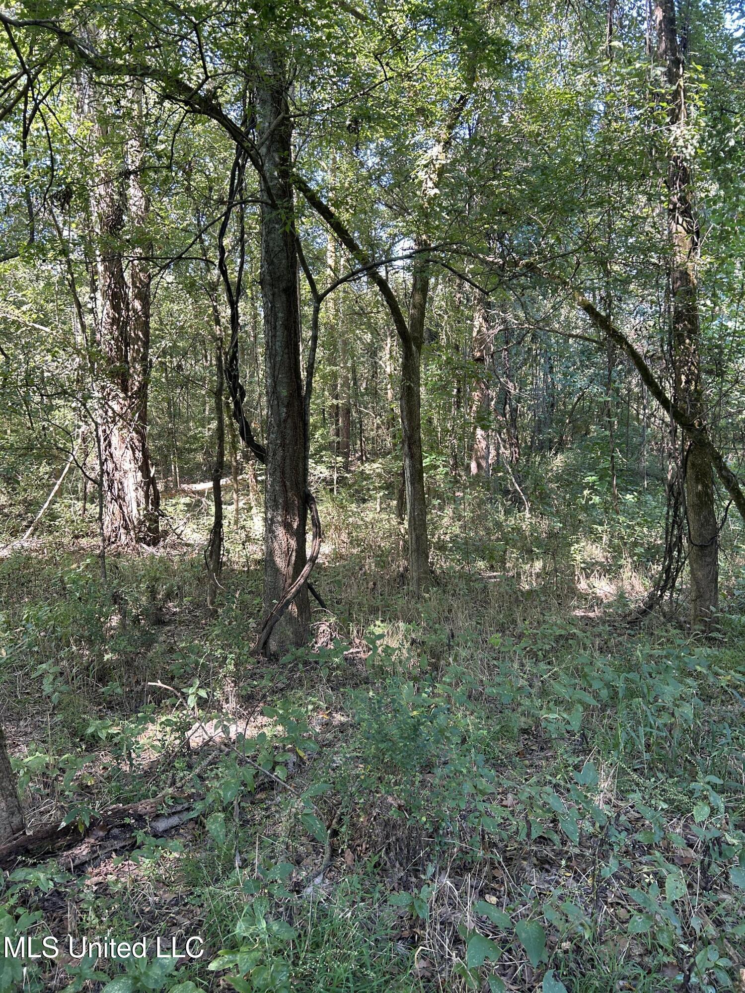 Ms Highway 12 Property Photo 52