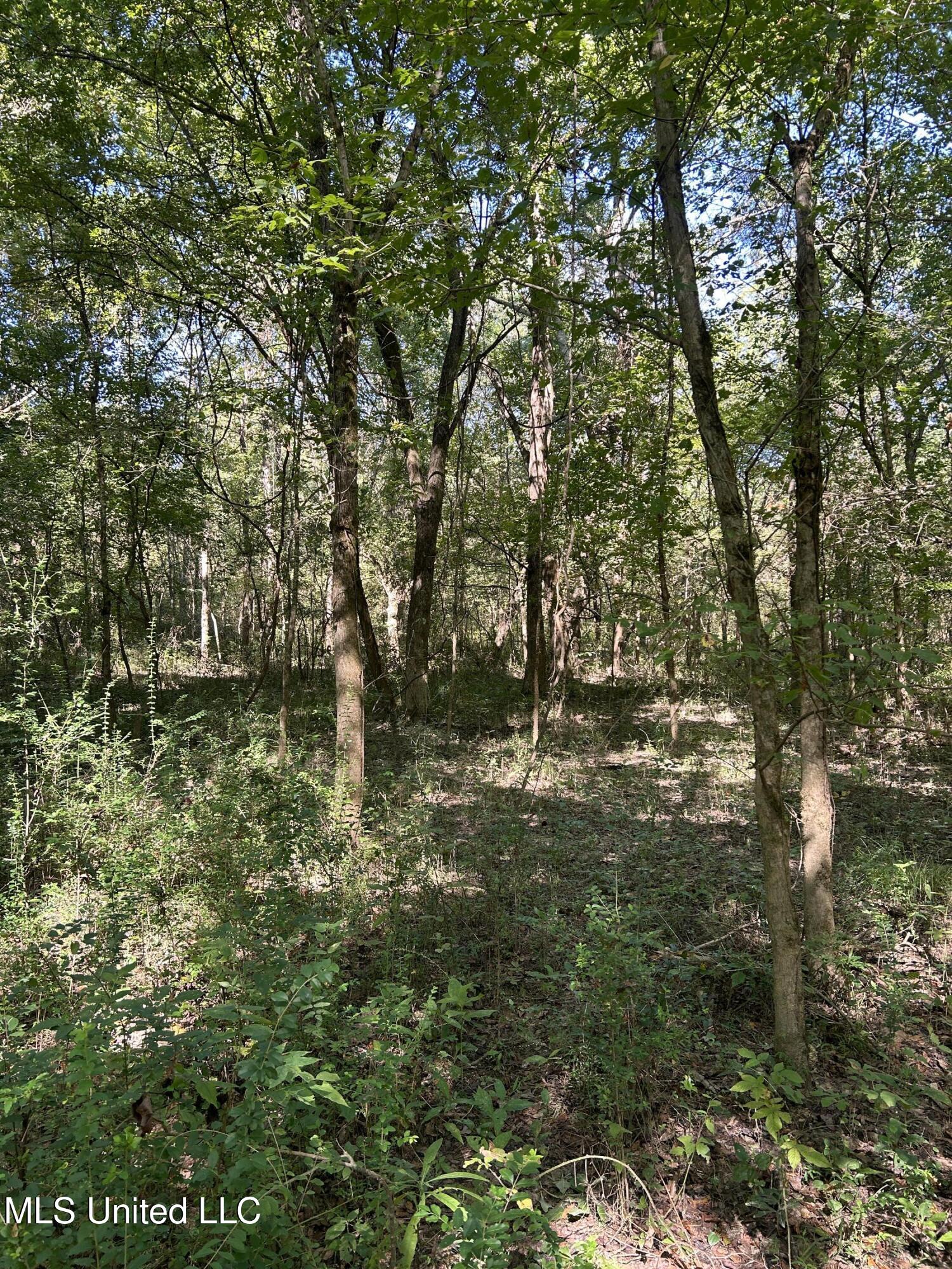 Ms Highway 12 Property Photo 54