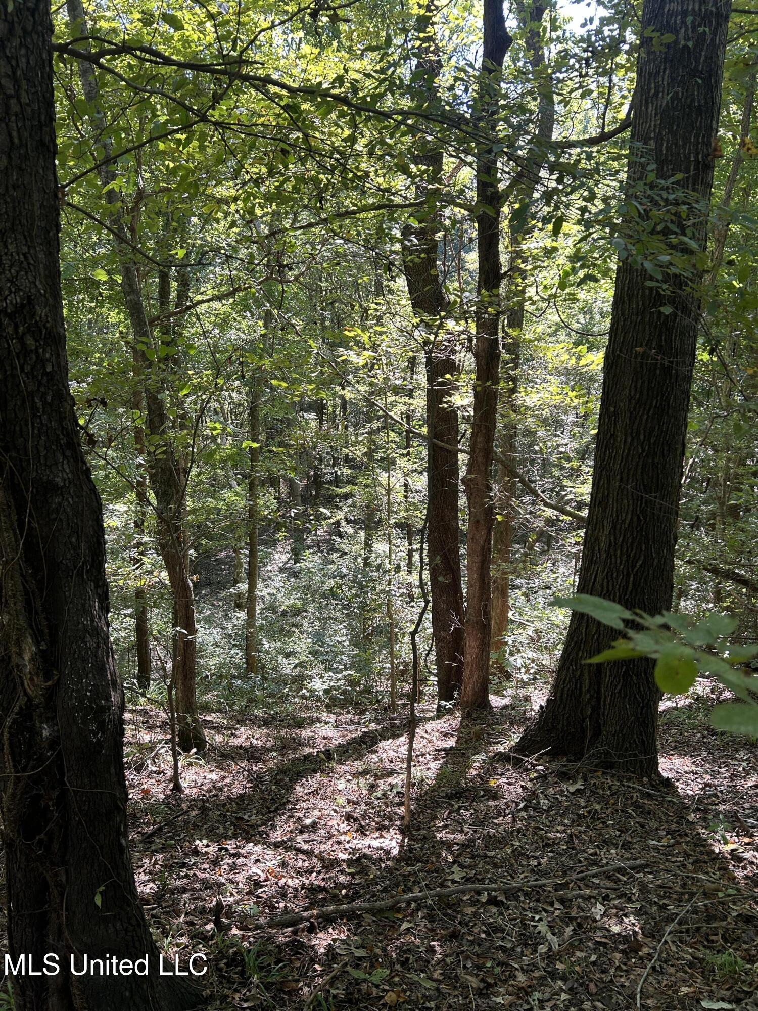 Ms Highway 12 Property Photo 55