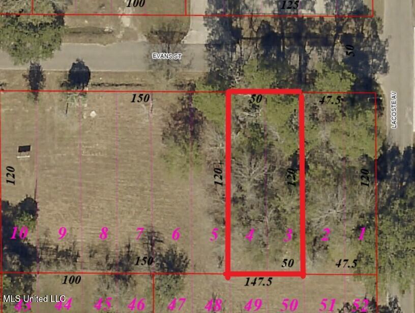 Evans Street Property Photo 6