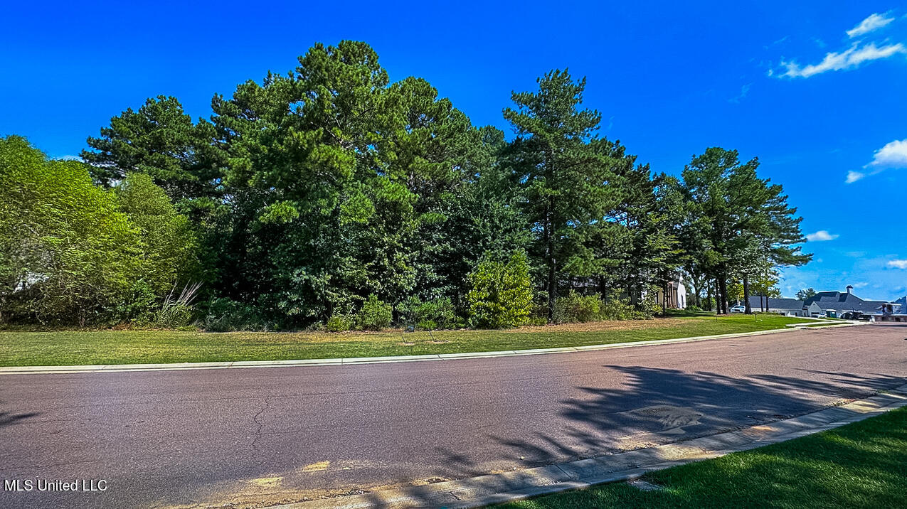 192 Harbor View Drive Property Photo 6
