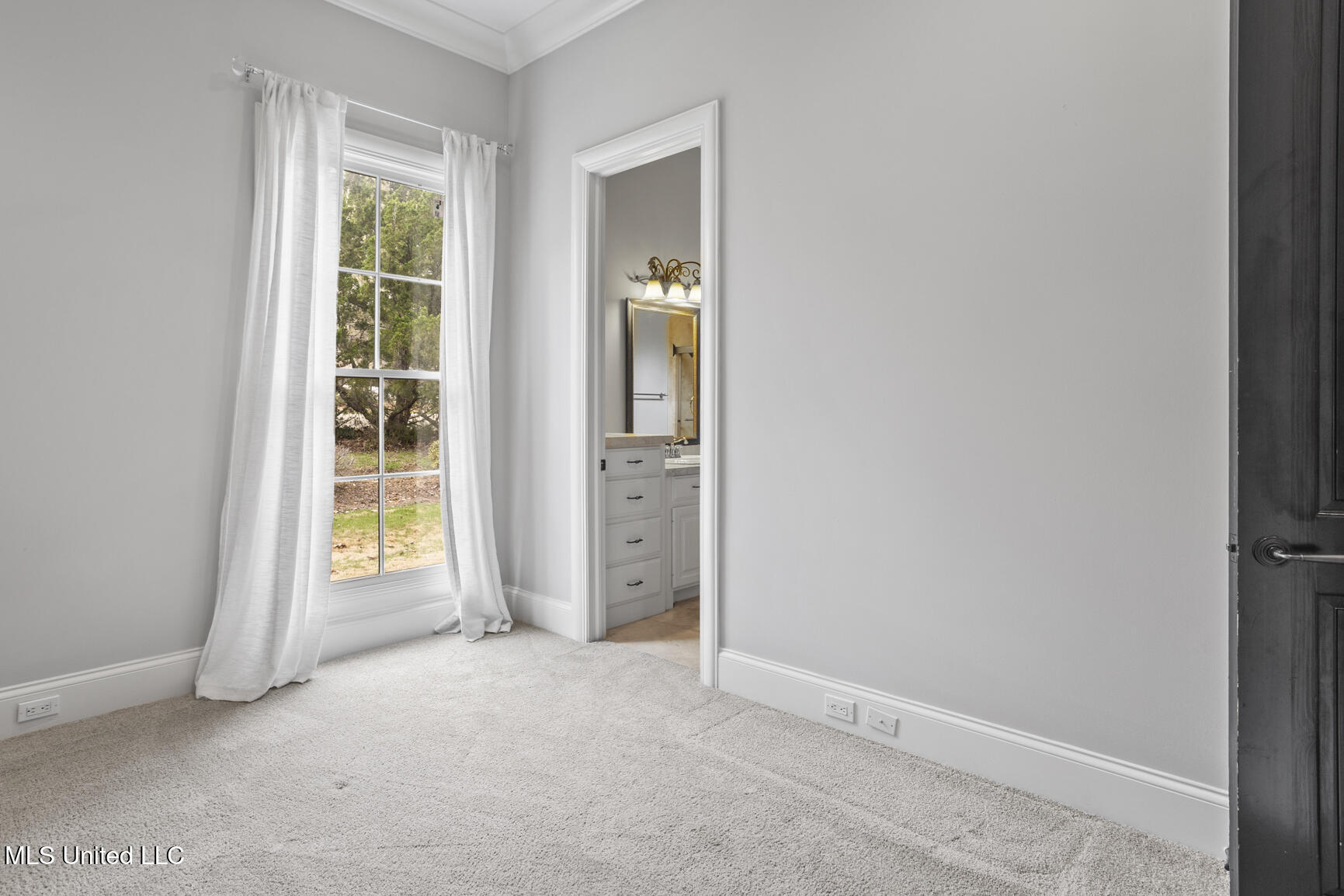 128 Summer Lake Drive Property Photo 28