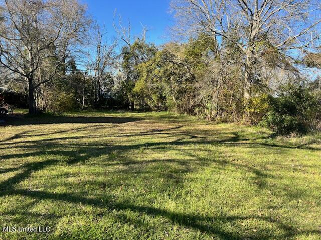 2317 Choctaw Avenue Property Photo 1
