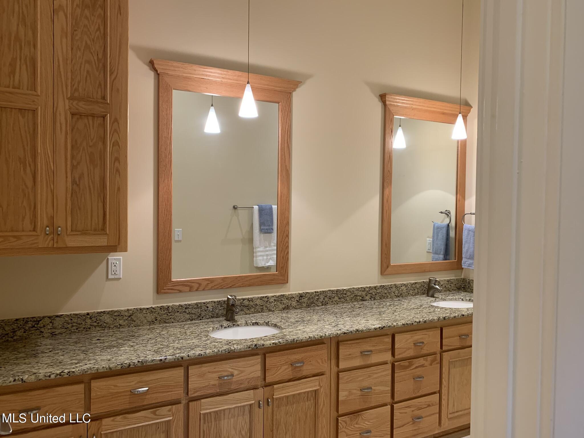 12227 Preservation Drive Property Photo 16