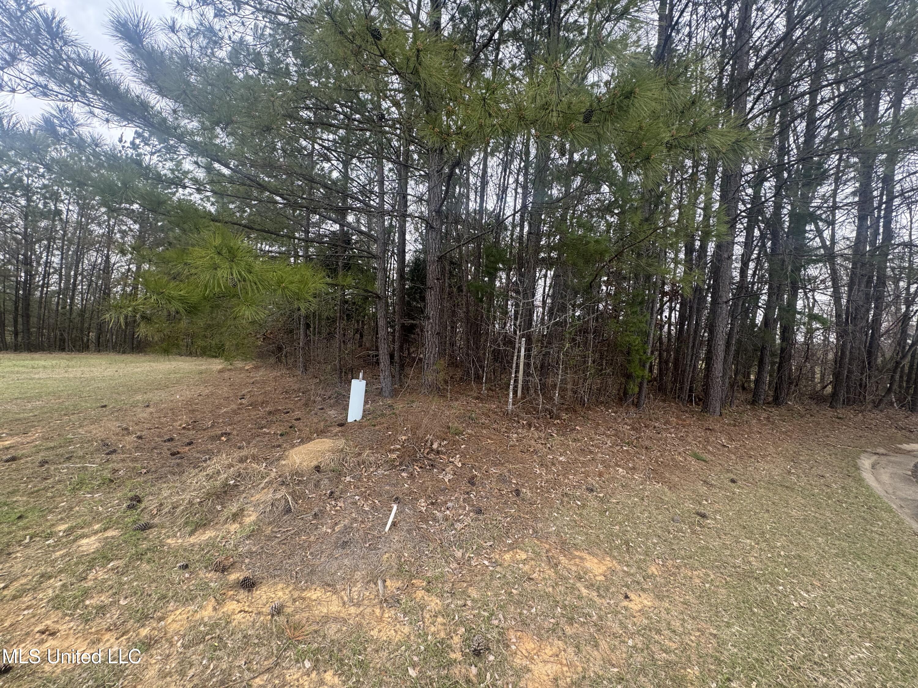 0 Kite Cove Property Photo 1
