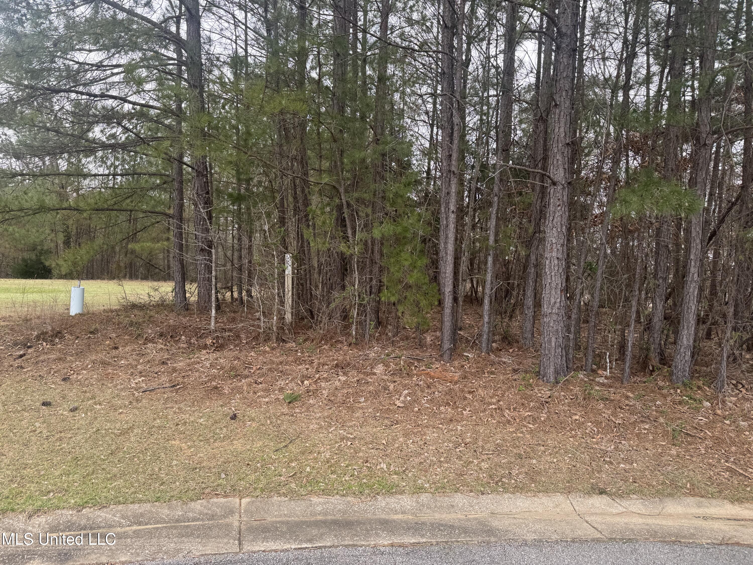 0 Kite Cove Property Photo 2
