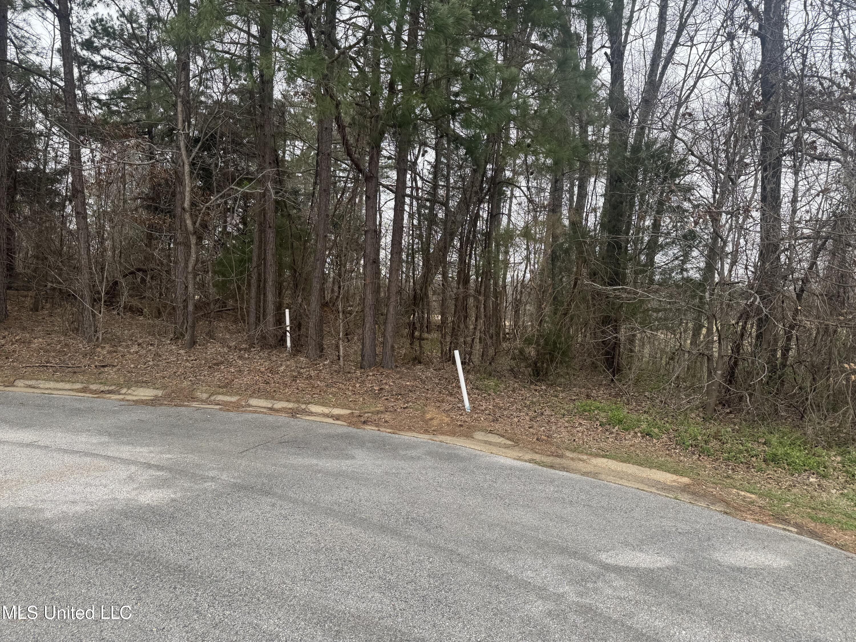 0 Kite Cove Property Photo 3