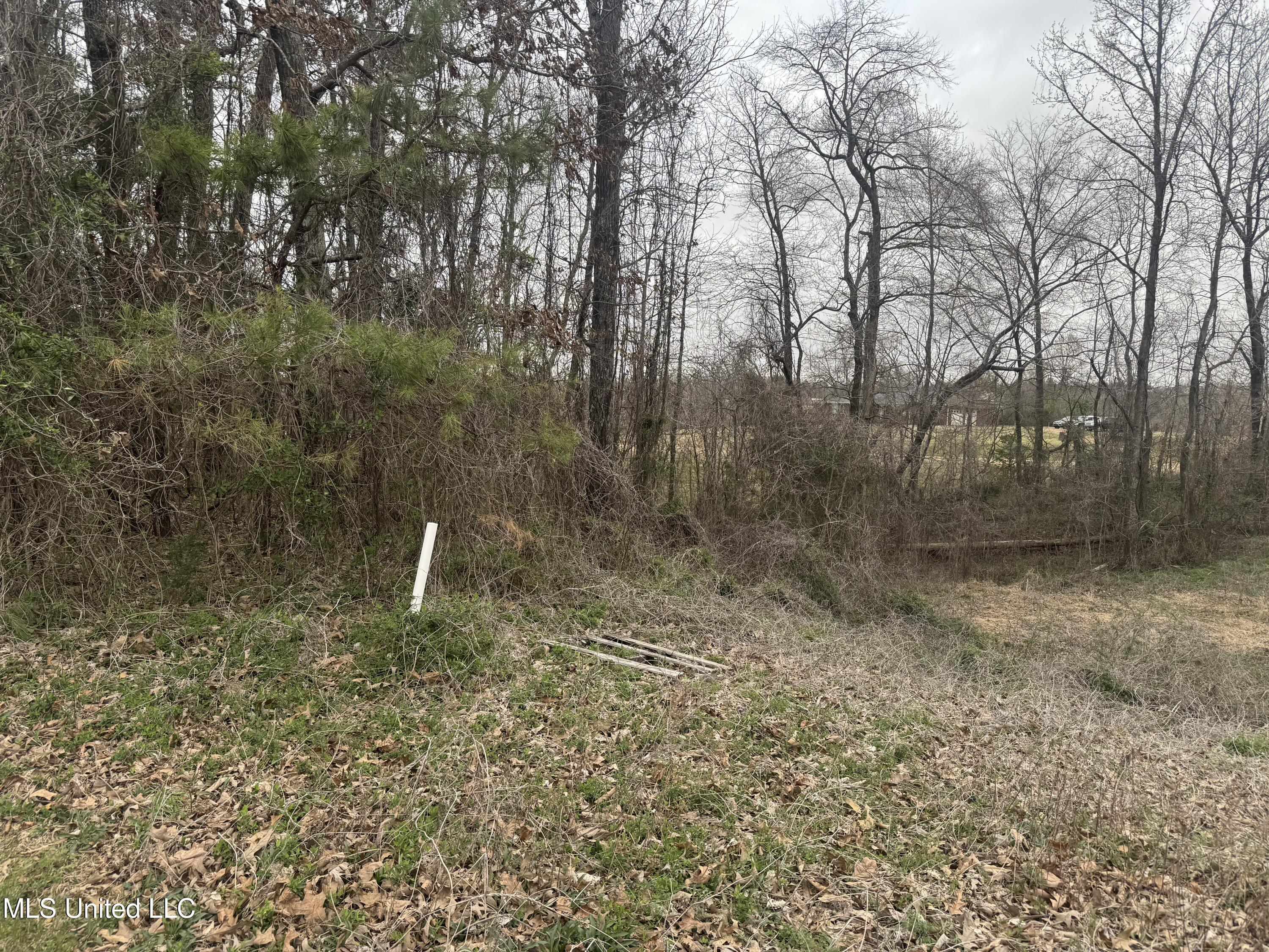 0 Kite Cove Property Photo 4