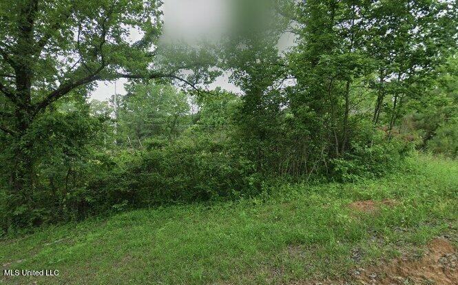 2335 University Avenue Property Photo