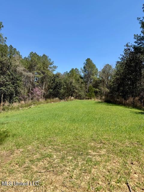 Lower Woodville Road Property Photo