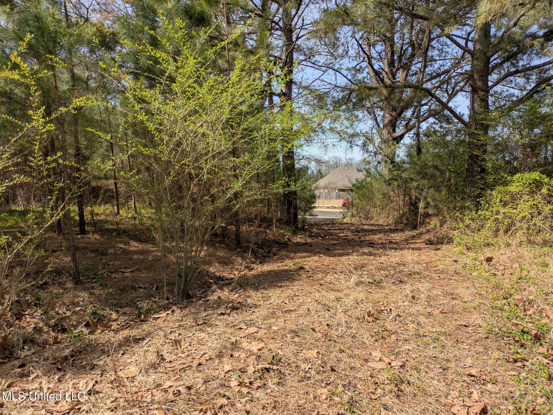 3774 Getwell Road Property Photo 3